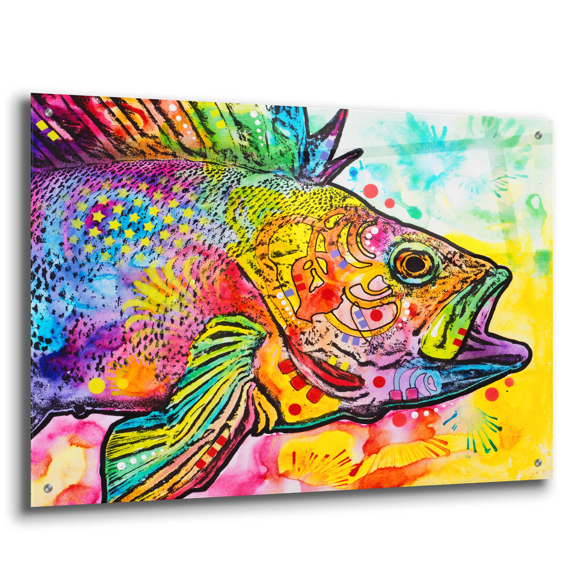 Epic Art 'Fish' by Dean Russo, Acrylic Glass Wall Art,36x24