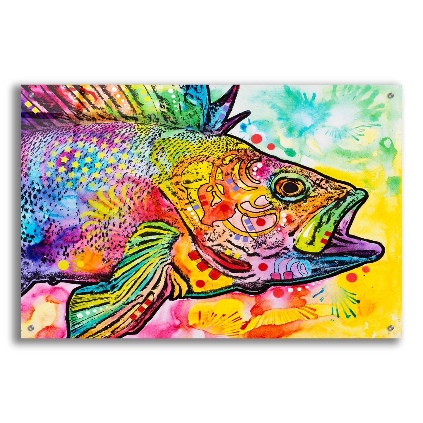 Epic Art 'Fish' by Dean Russo, Acrylic Glass Wall Art,36x24