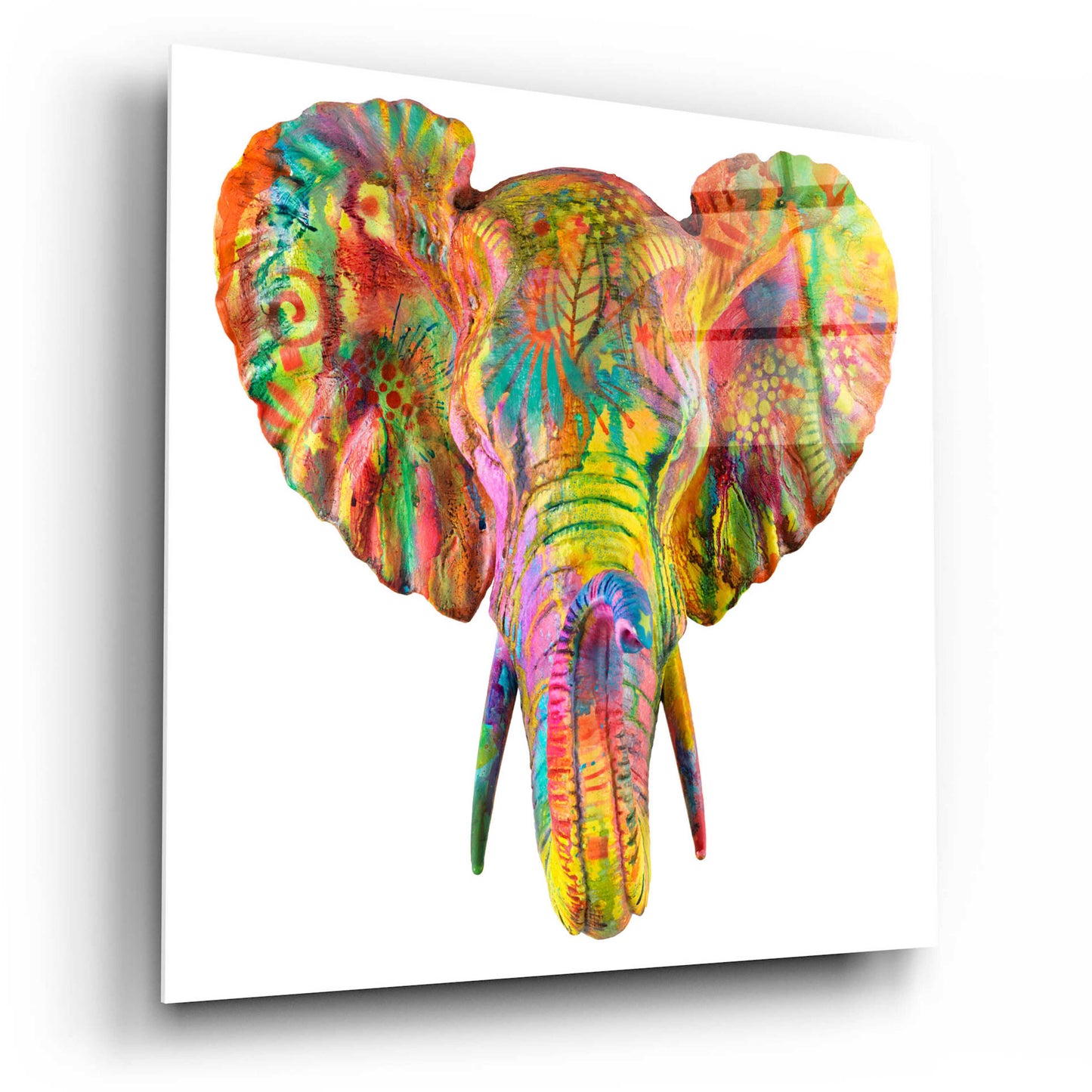 Epic Art 'Elephant 2' by Dean Russo, Acrylic Glass Wall Art,12x12