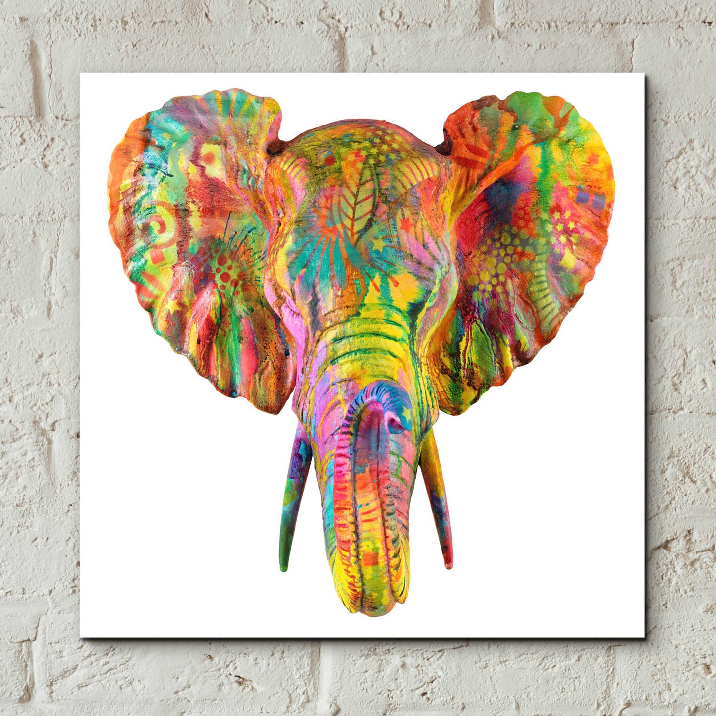 Epic Art 'Elephant 2' by Dean Russo, Acrylic Glass Wall Art,12x12