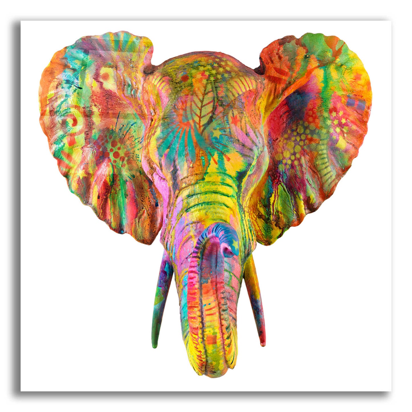 Epic Art 'Elephant 2' by Dean Russo, Acrylic Glass Wall Art,12x12