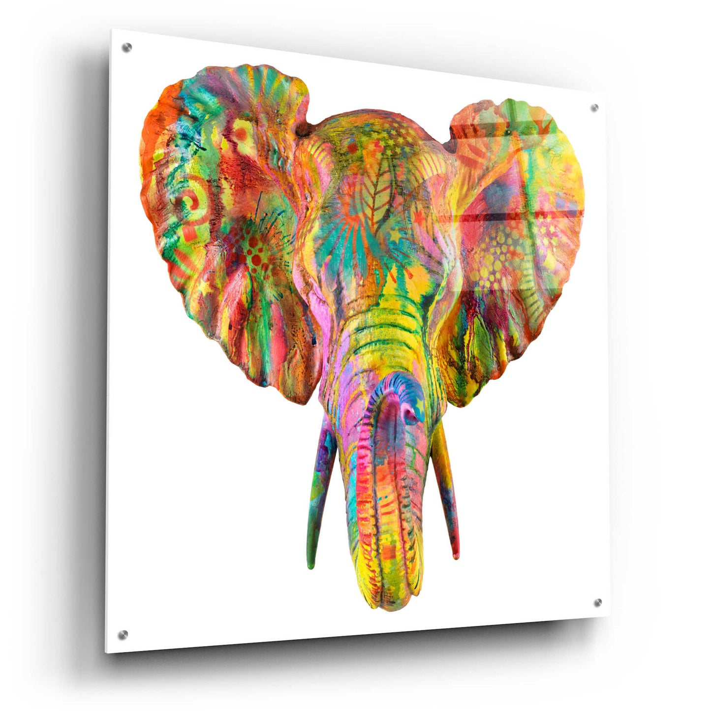 Epic Art 'Elephant 2' by Dean Russo, Acrylic Glass Wall Art,36x36