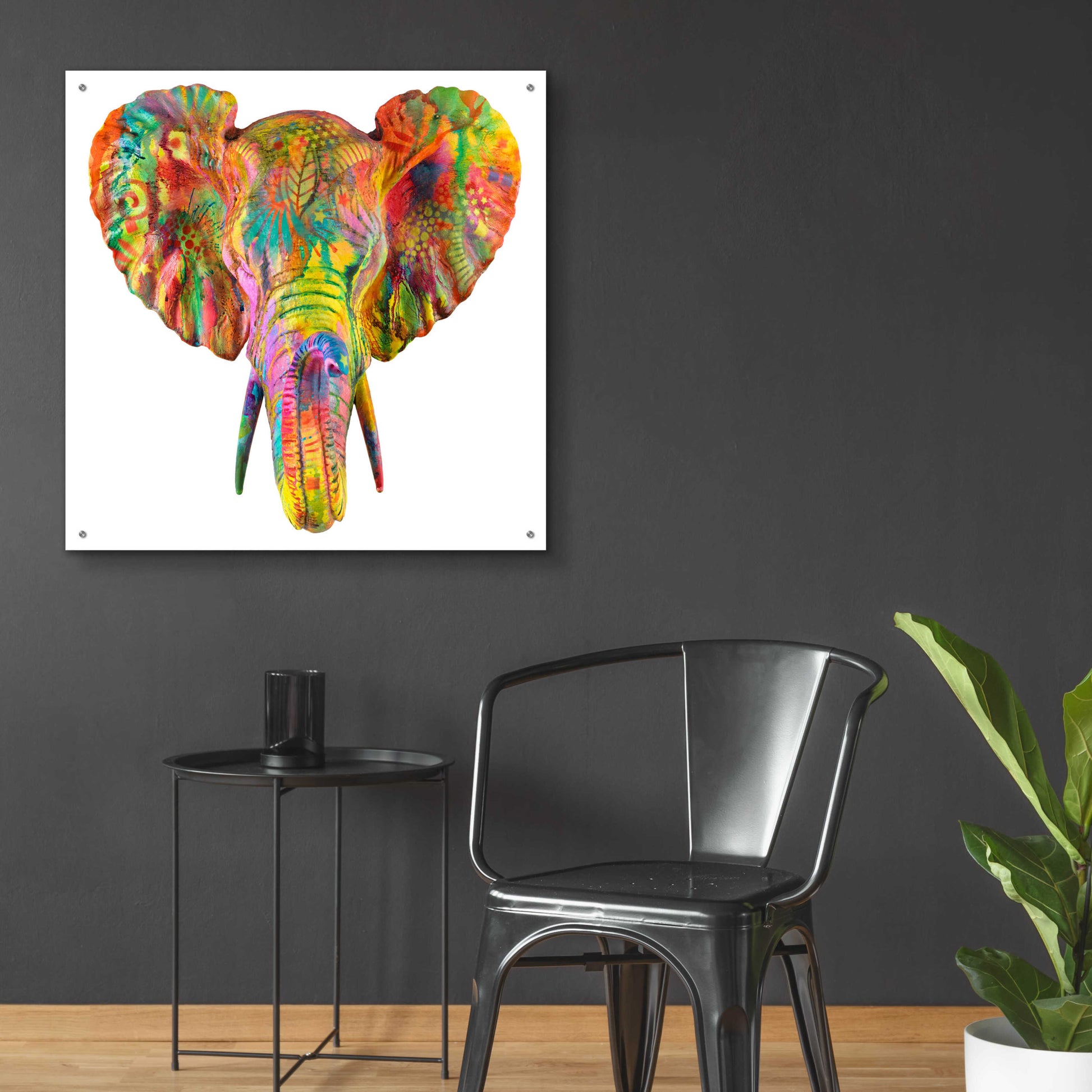 Epic Art 'Elephant 2' by Dean Russo, Acrylic Glass Wall Art,36x36