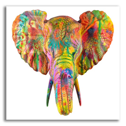 Epic Art 'Elephant 2' by Dean Russo, Acrylic Glass Wall Art