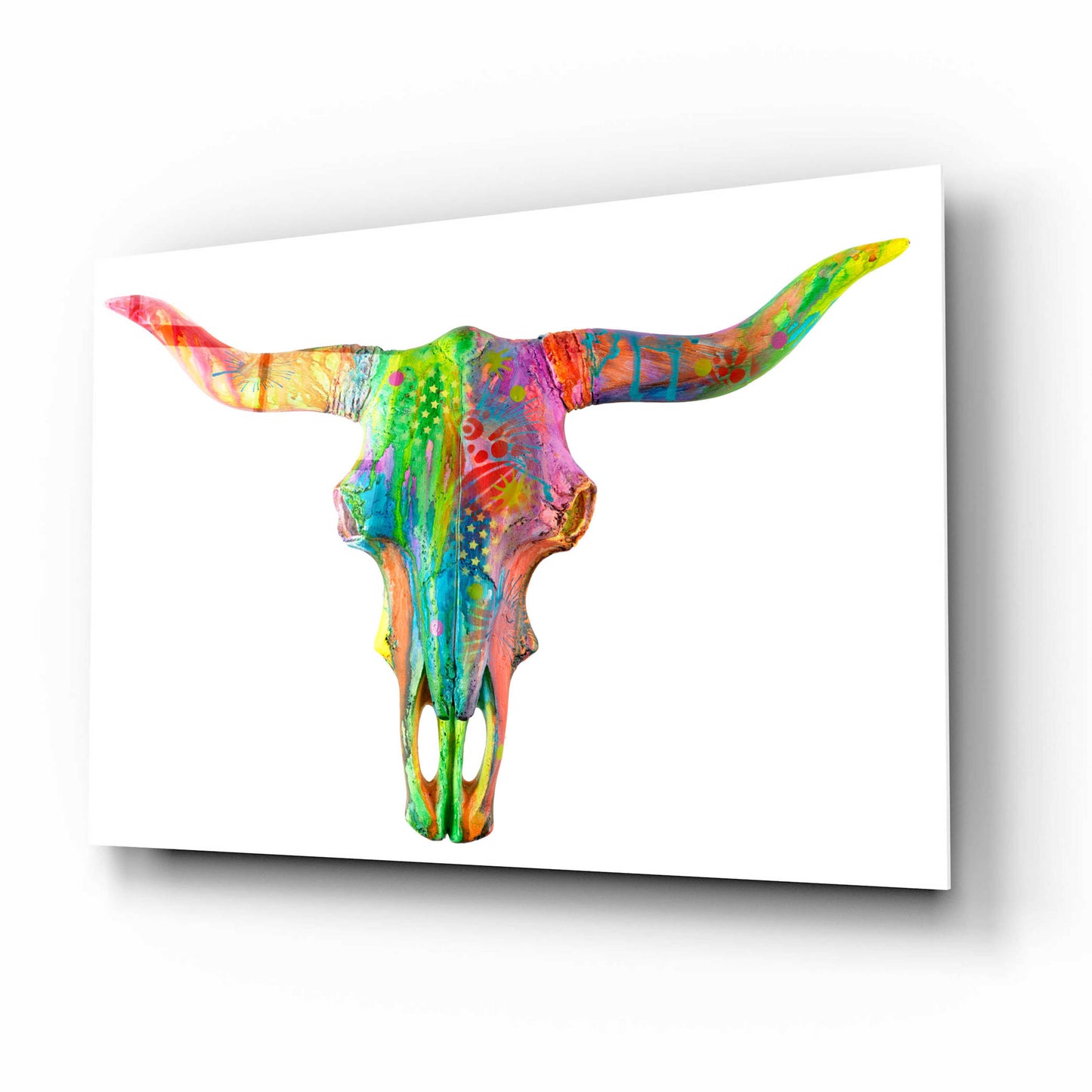 Epic Art 'Longhorn 2' by Dean Russo, Acrylic Glass Wall Art,16x12