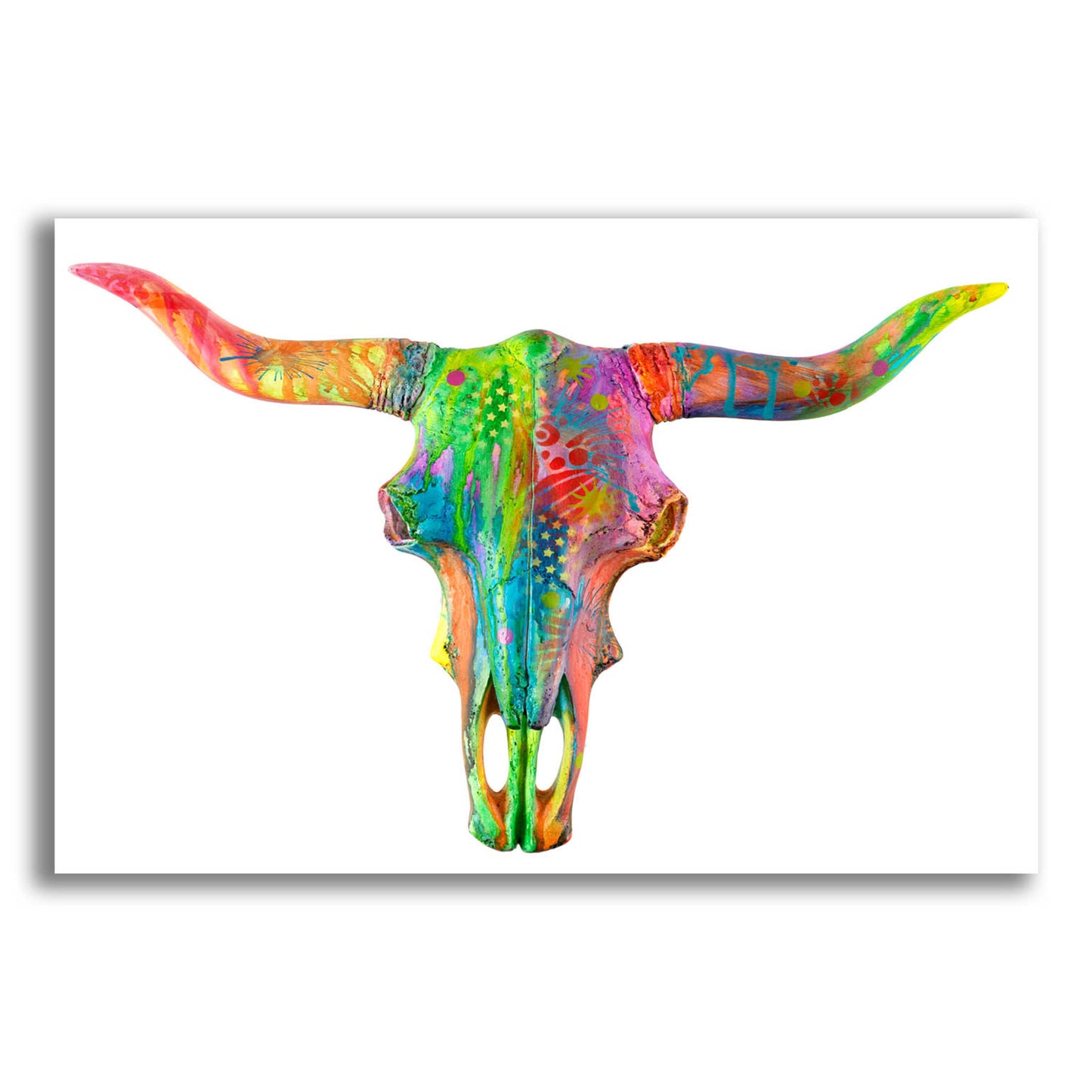 Epic Art 'Longhorn 2' by Dean Russo, Acrylic Glass Wall Art,16x12