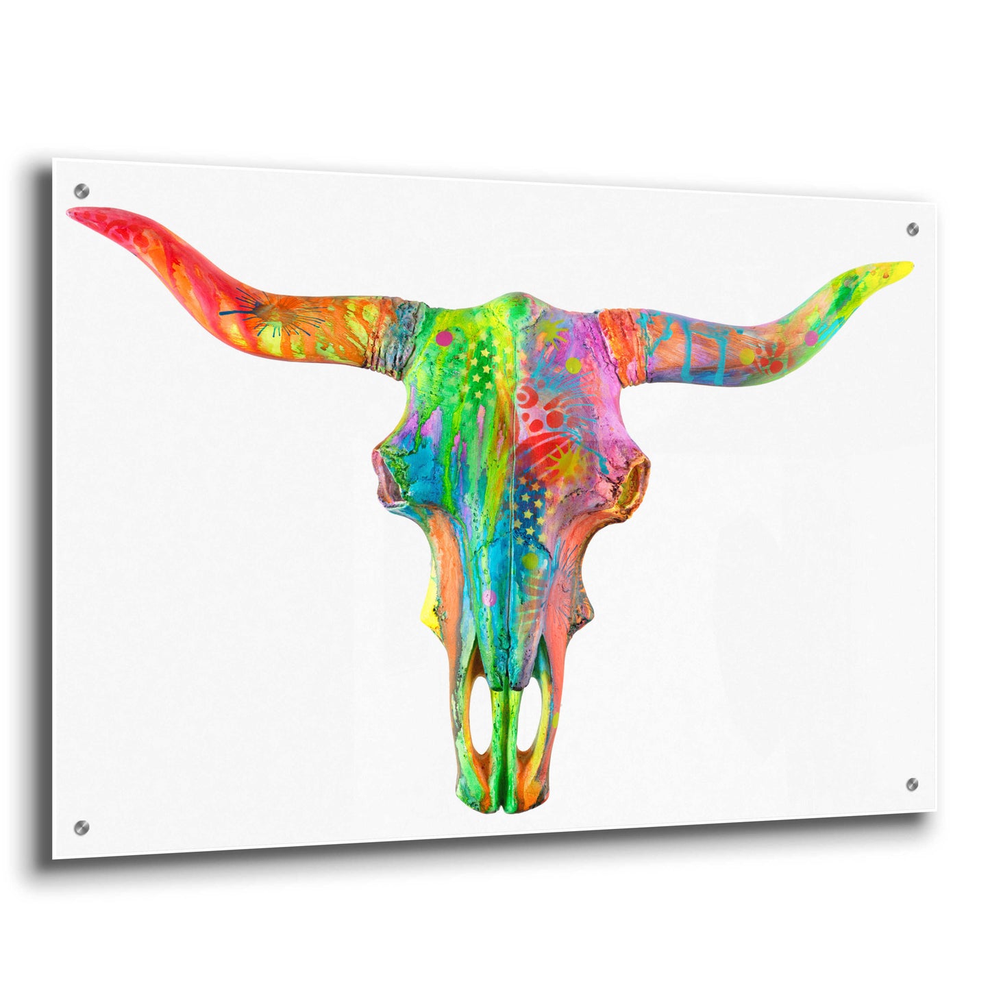 Epic Art 'Longhorn 2' by Dean Russo, Acrylic Glass Wall Art,36x24