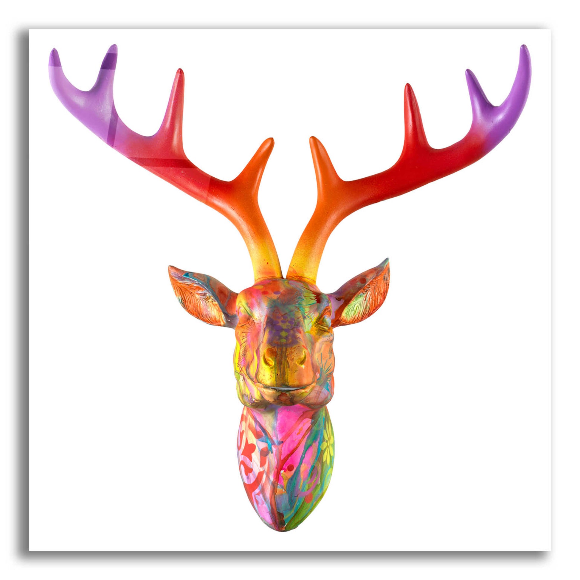 Epic Art 'Deer Bust' by Dean Russo, Acrylic Glass Wall Art,12x12