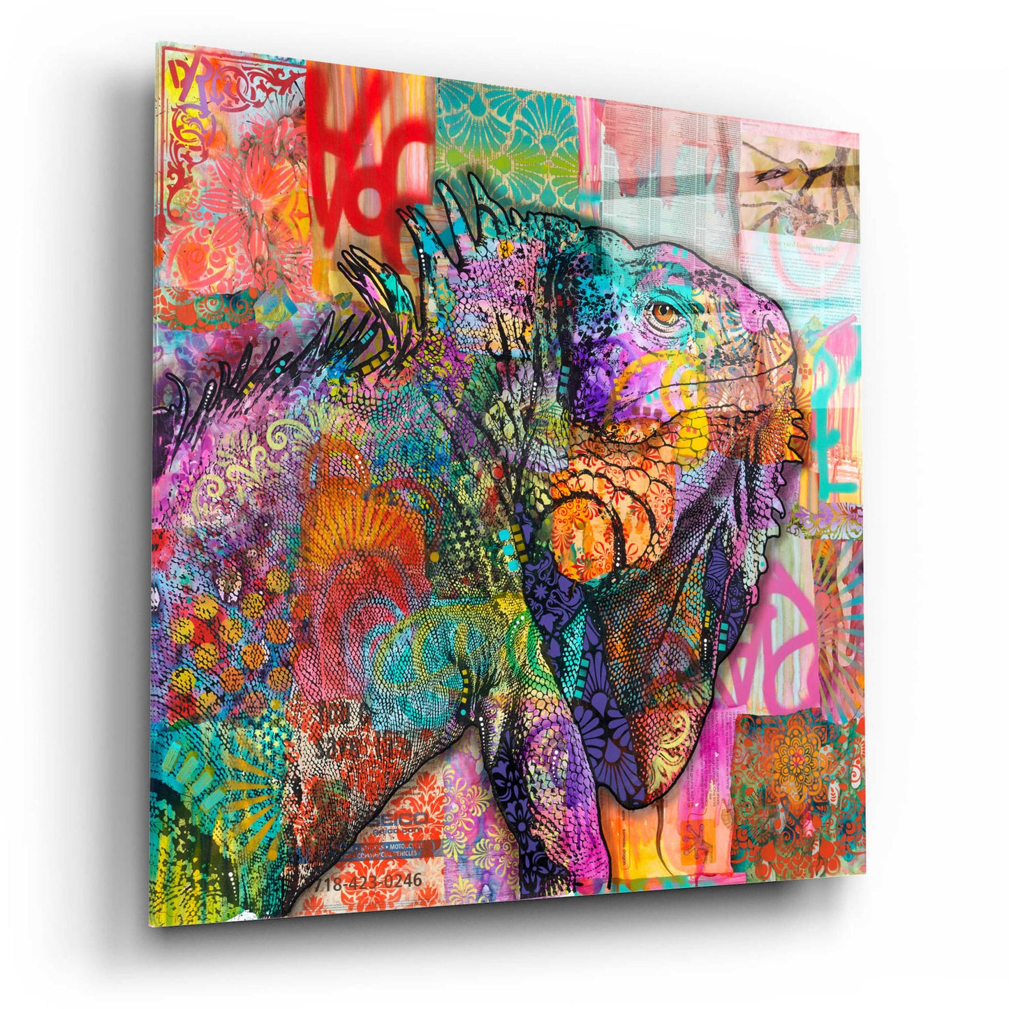 Epic Art 'Iguana' by Dean Russo, Acrylic Glass Wall Art,12x12