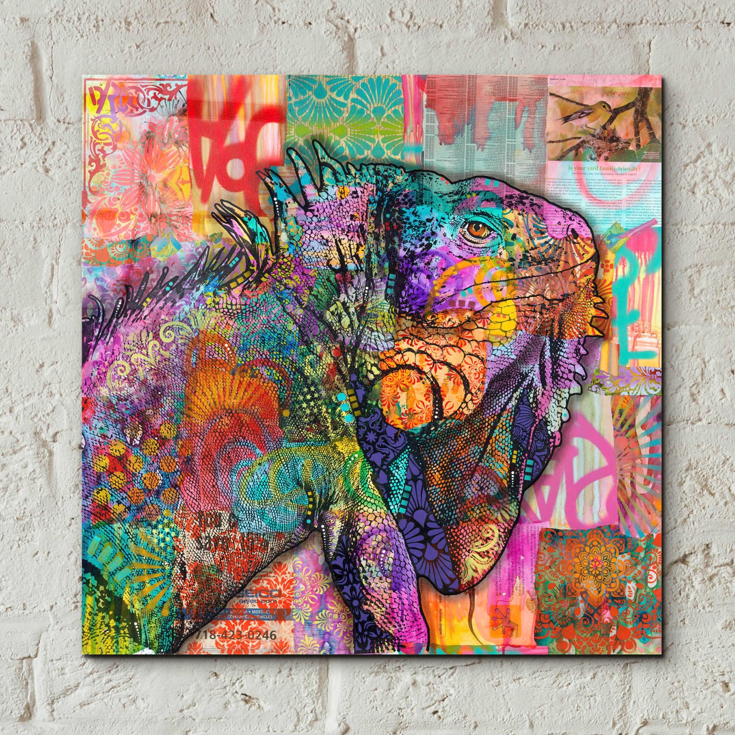 Epic Art 'Iguana' by Dean Russo, Acrylic Glass Wall Art,12x12