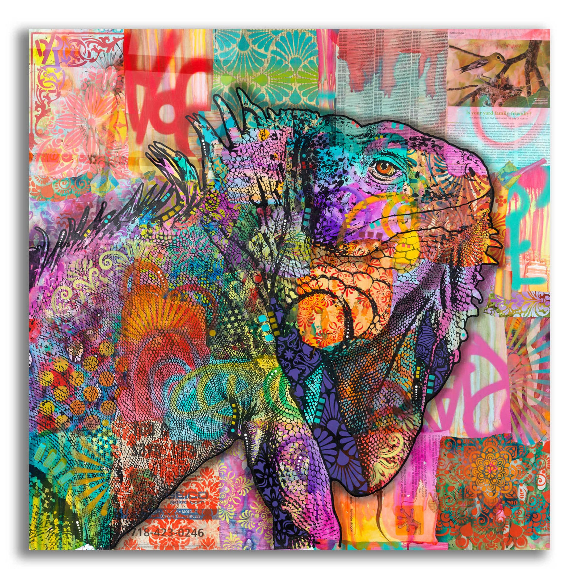 Epic Art 'Iguana' by Dean Russo, Acrylic Glass Wall Art,12x12