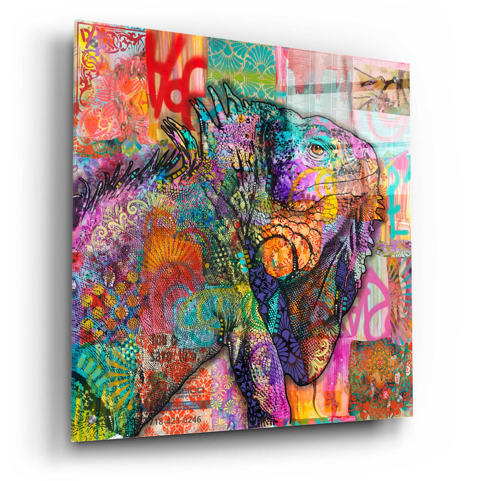 Epic Art 'Iguana' by Dean Russo, Acrylic Glass Wall Art,24x24