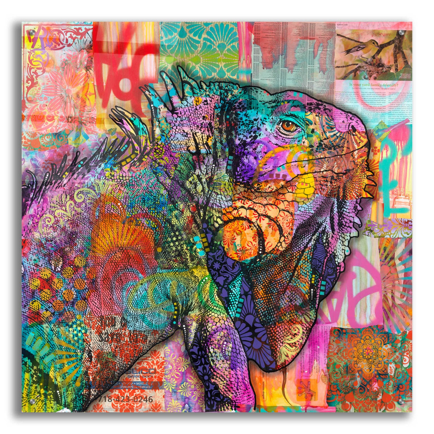 Epic Art 'Iguana' by Dean Russo, Acrylic Glass Wall Art,36x36