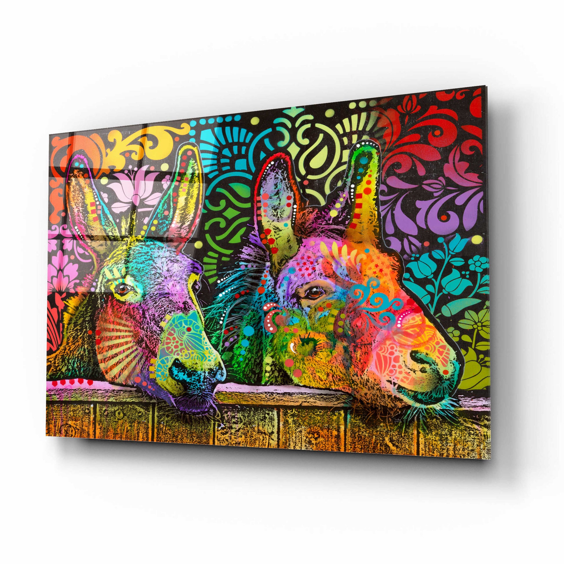 Epic Art 'Donkeys' by Dean Russo, Acrylic Glass Wall Art,16x12