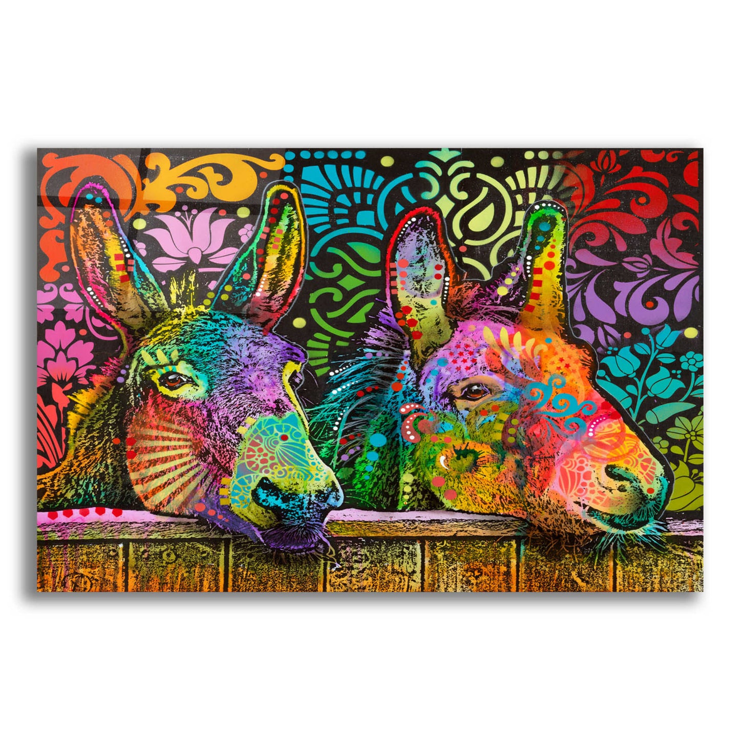 Epic Art 'Donkeys' by Dean Russo, Acrylic Glass Wall Art,16x12