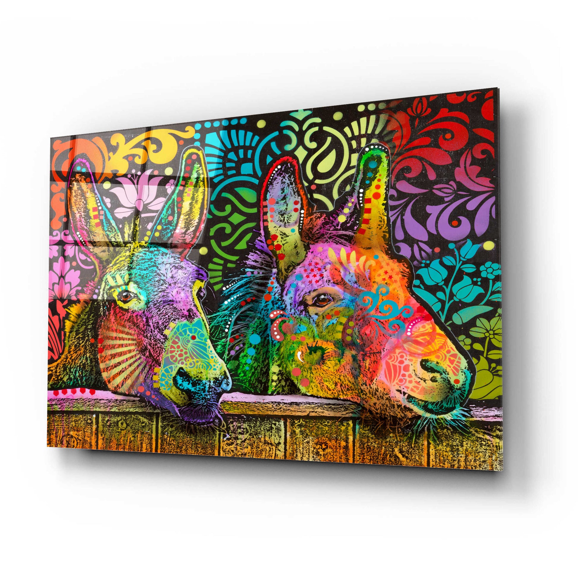 Epic Art 'Donkeys' by Dean Russo, Acrylic Glass Wall Art,24x16