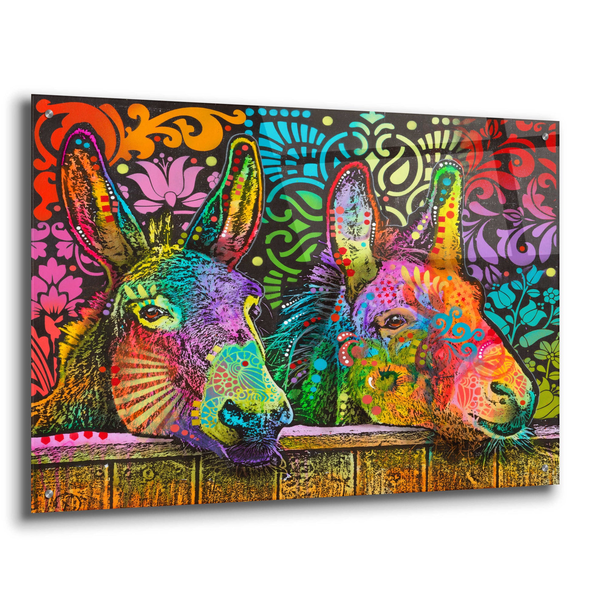 Epic Art 'Donkeys' by Dean Russo, Acrylic Glass Wall Art,36x24