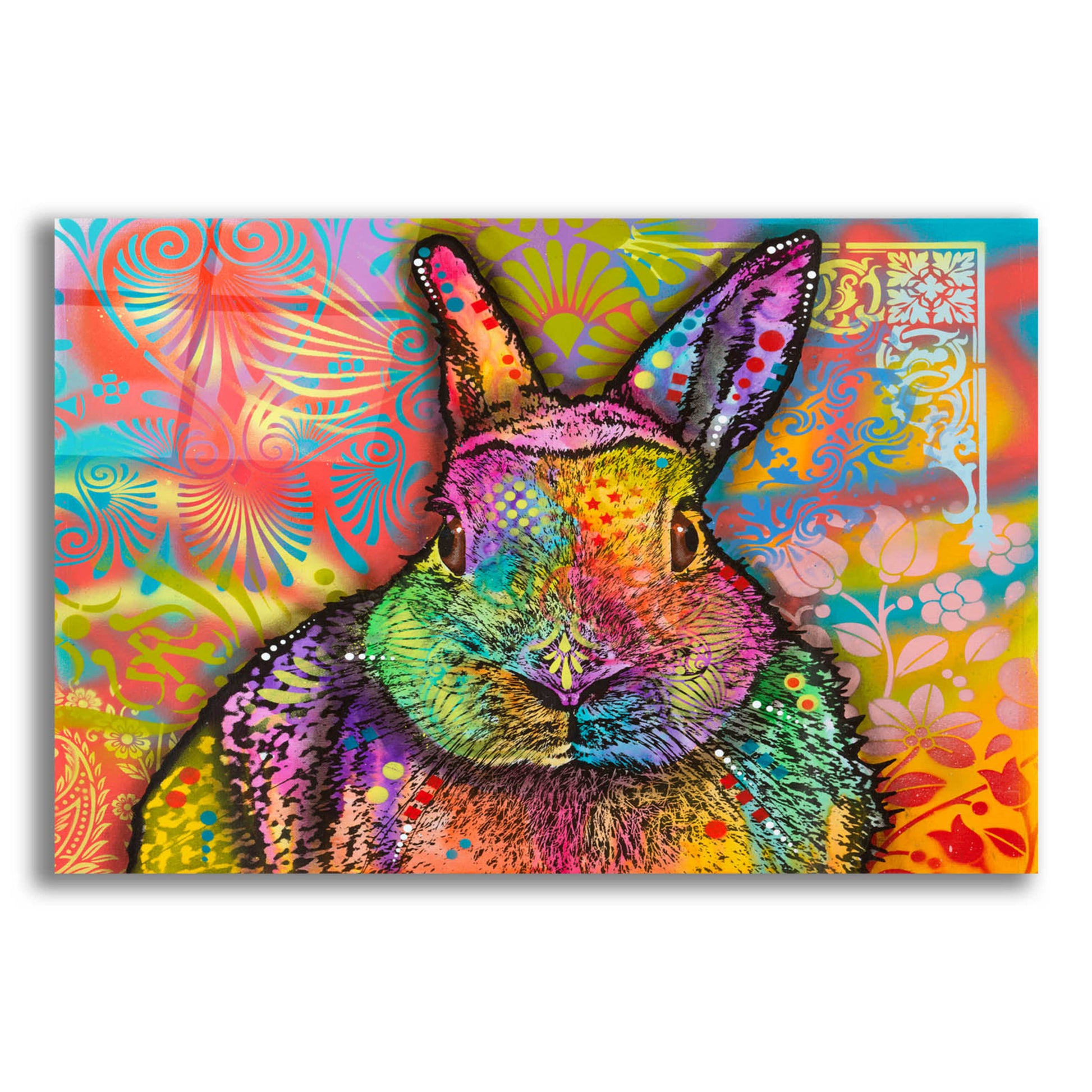 Epic Art 'Hare' by Dean Russo, Acrylic Glass Wall Art,16x12