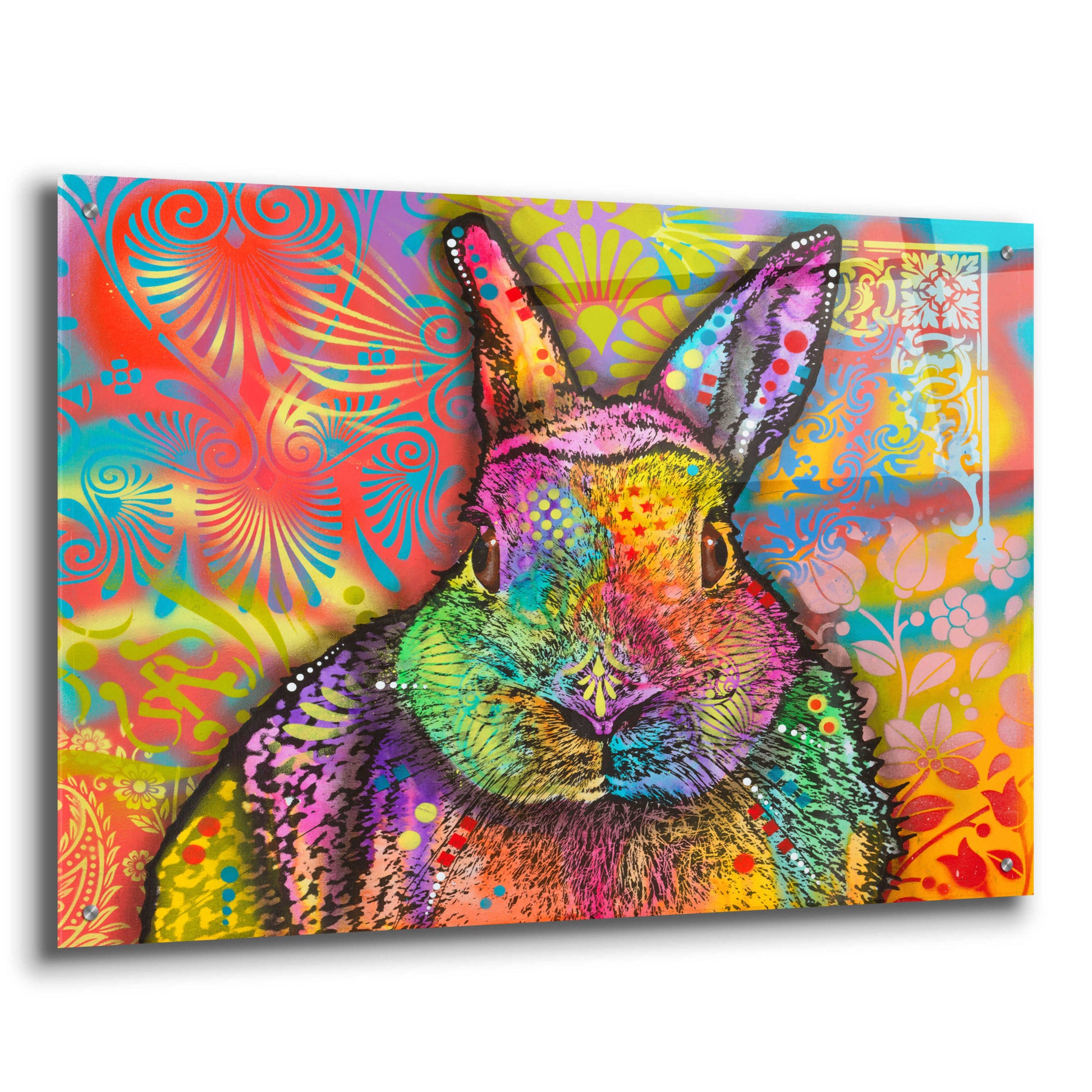 Epic Art 'Hare' by Dean Russo, Acrylic Glass Wall Art,36x24