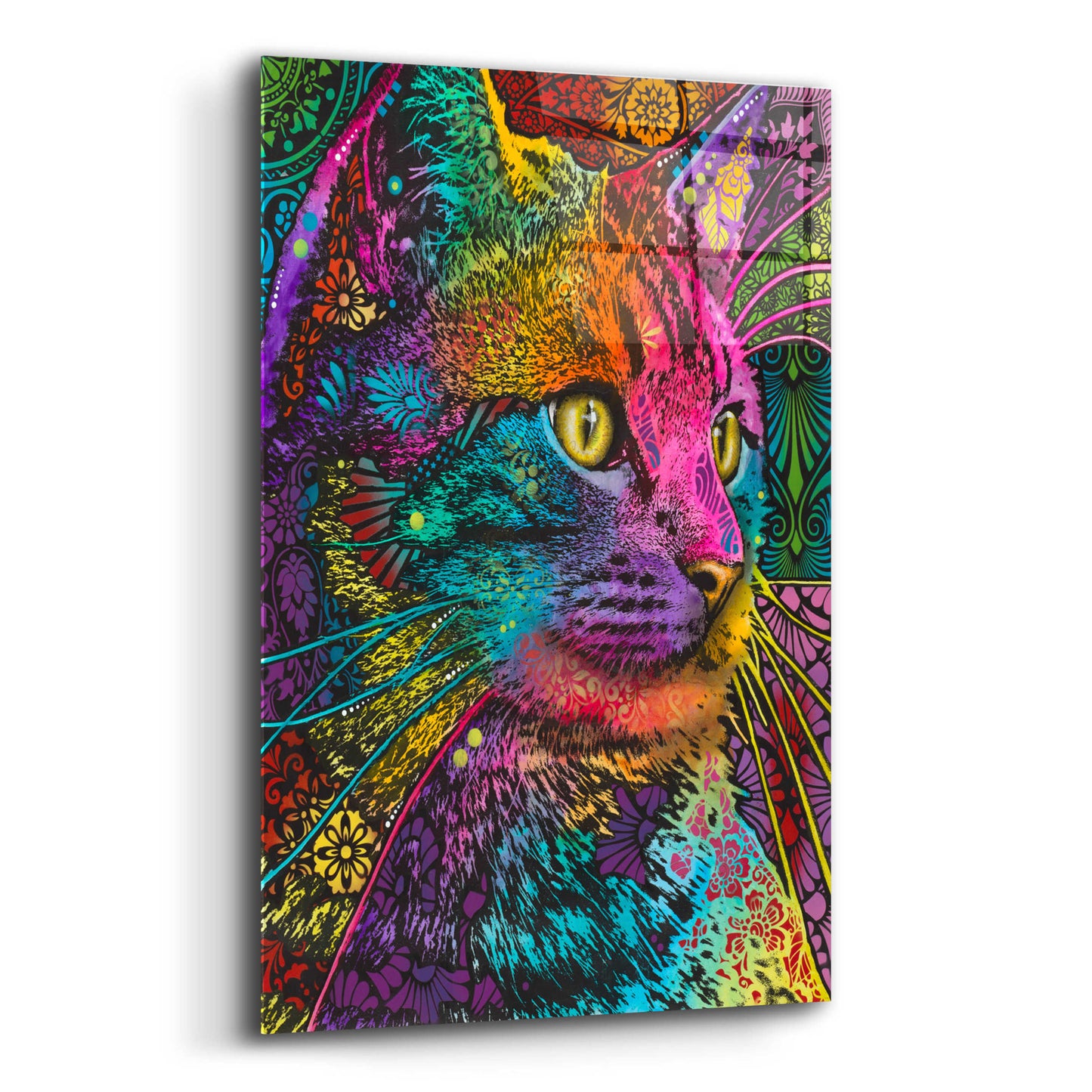 Epic Art 'Felis' by Dean Russo, Acrylic Glass Wall Art,12x16