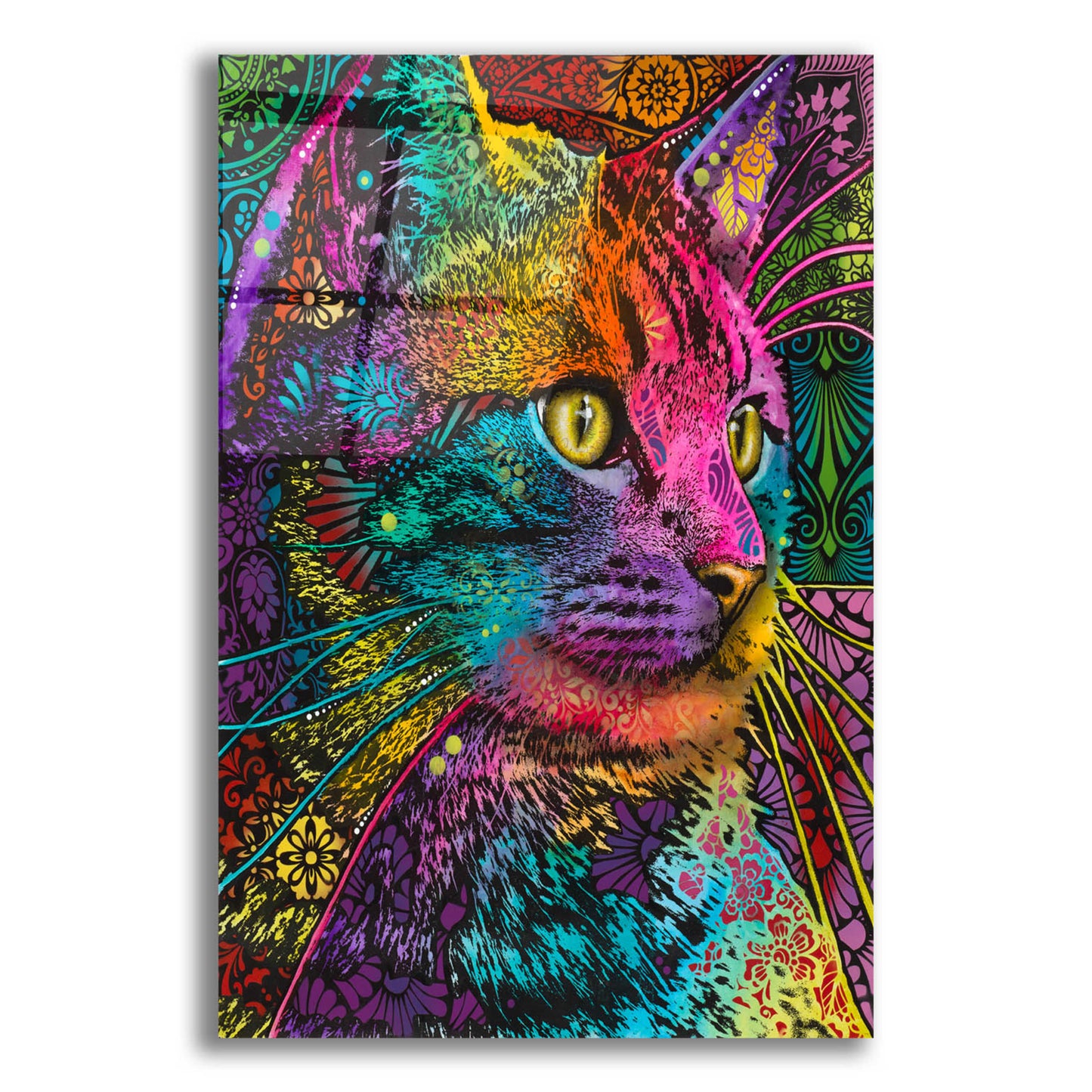 Epic Art 'Felis' by Dean Russo, Acrylic Glass Wall Art,12x16