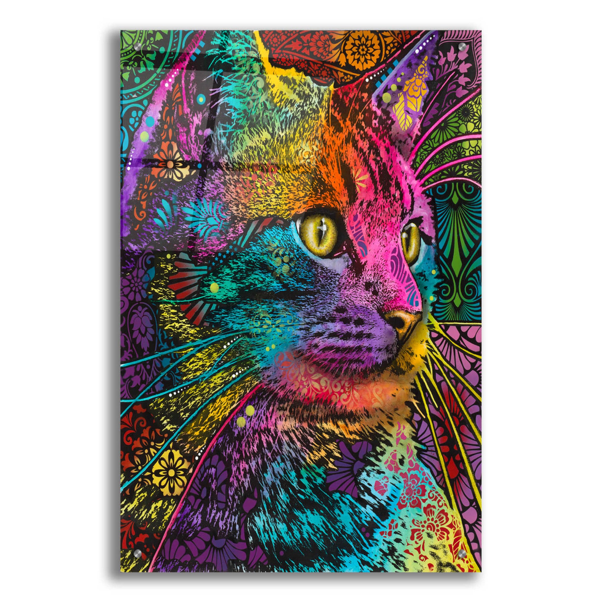 Epic Art 'Felis' by Dean Russo, Acrylic Glass Wall Art,24x36