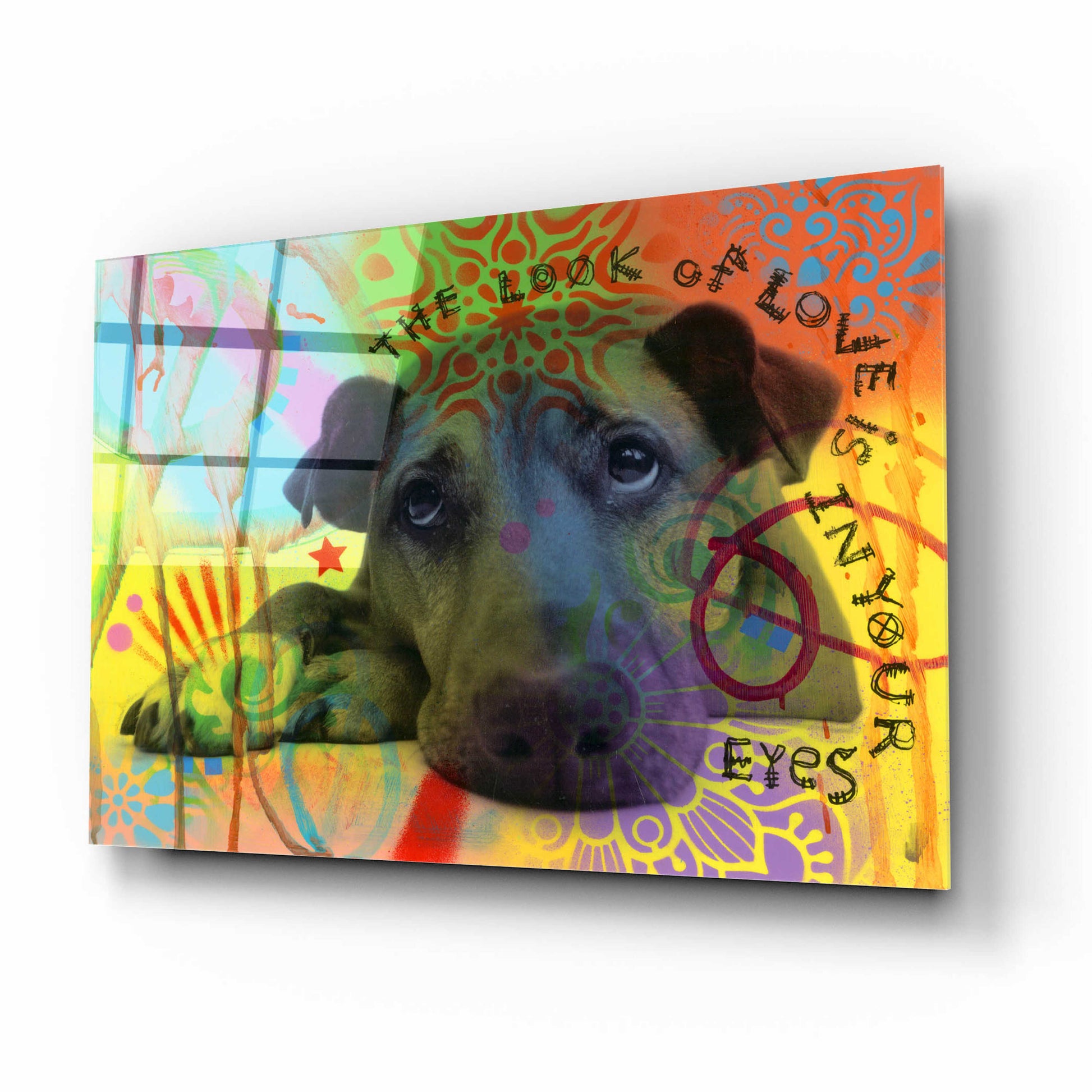 Epic Art 'The Look of Love' by Dean Russo, Acrylic Glass Wall Art,16x12