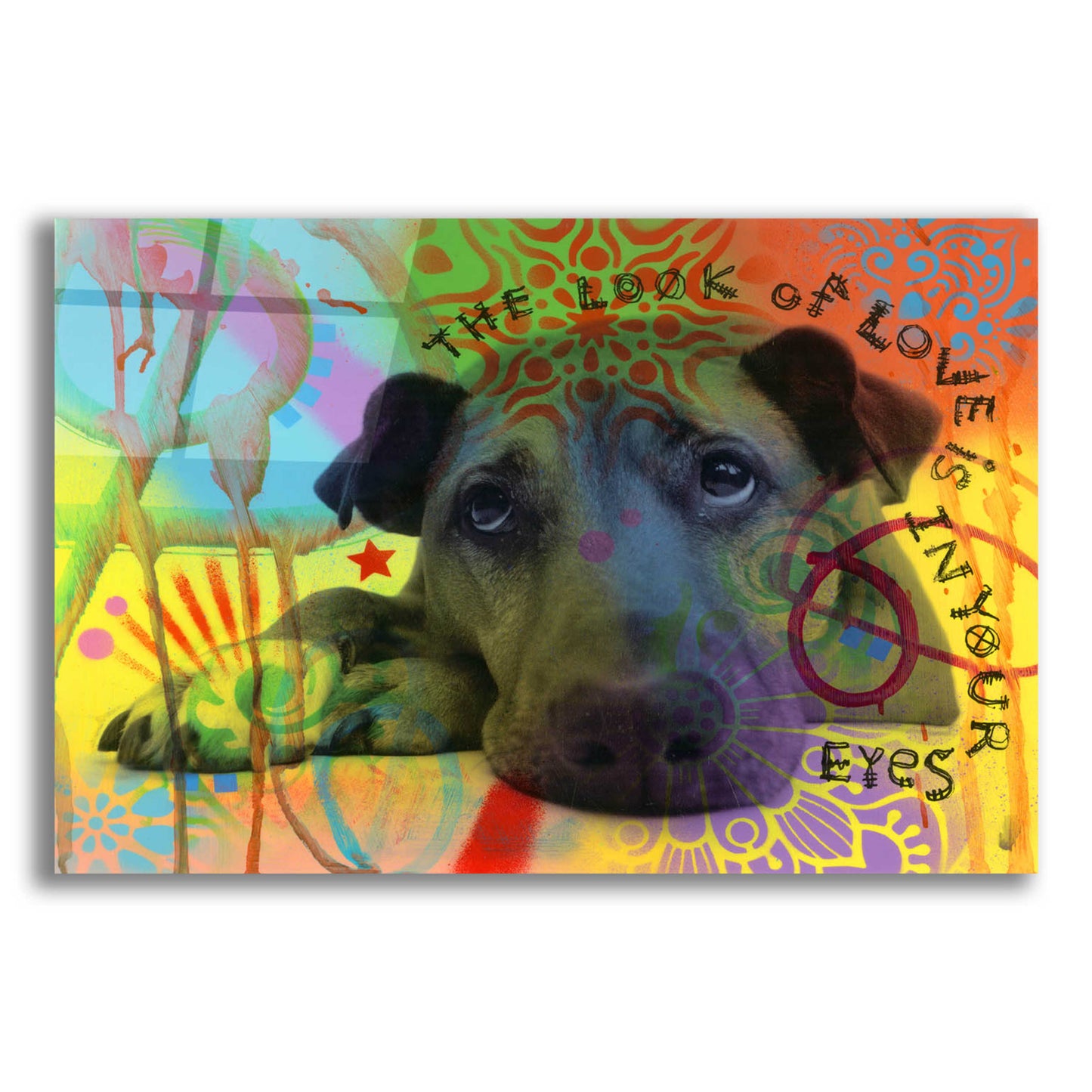 Epic Art 'The Look of Love' by Dean Russo, Acrylic Glass Wall Art,16x12