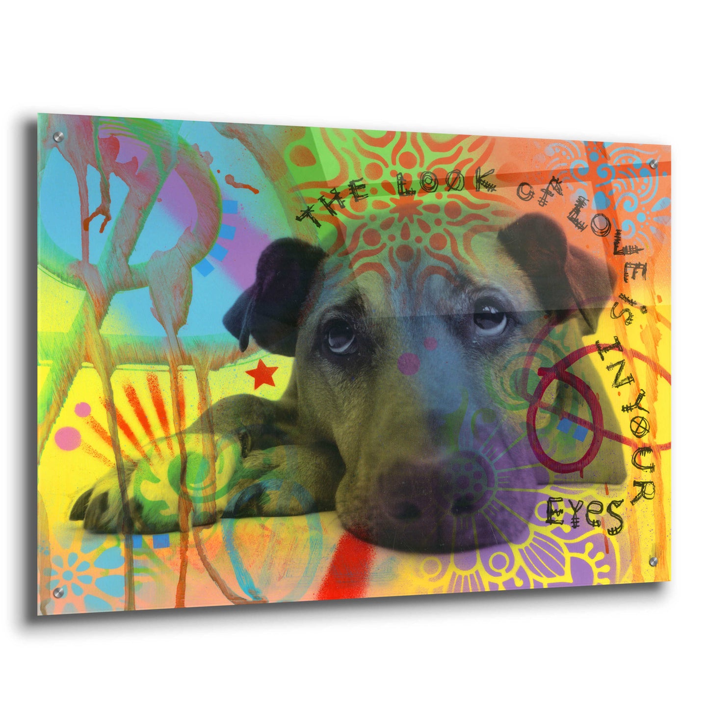 Epic Art 'The Look of Love' by Dean Russo, Acrylic Glass Wall Art,36x24