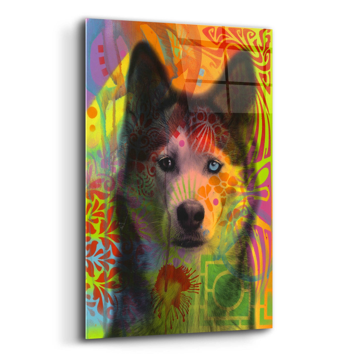 Epic Art 'Husky's Eye' by Dean Russo, Acrylic Glass Wall Art,12x16