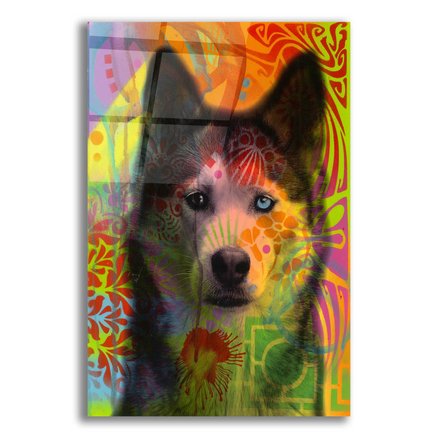 Epic Art 'Husky's Eye' by Dean Russo, Acrylic Glass Wall Art,12x16