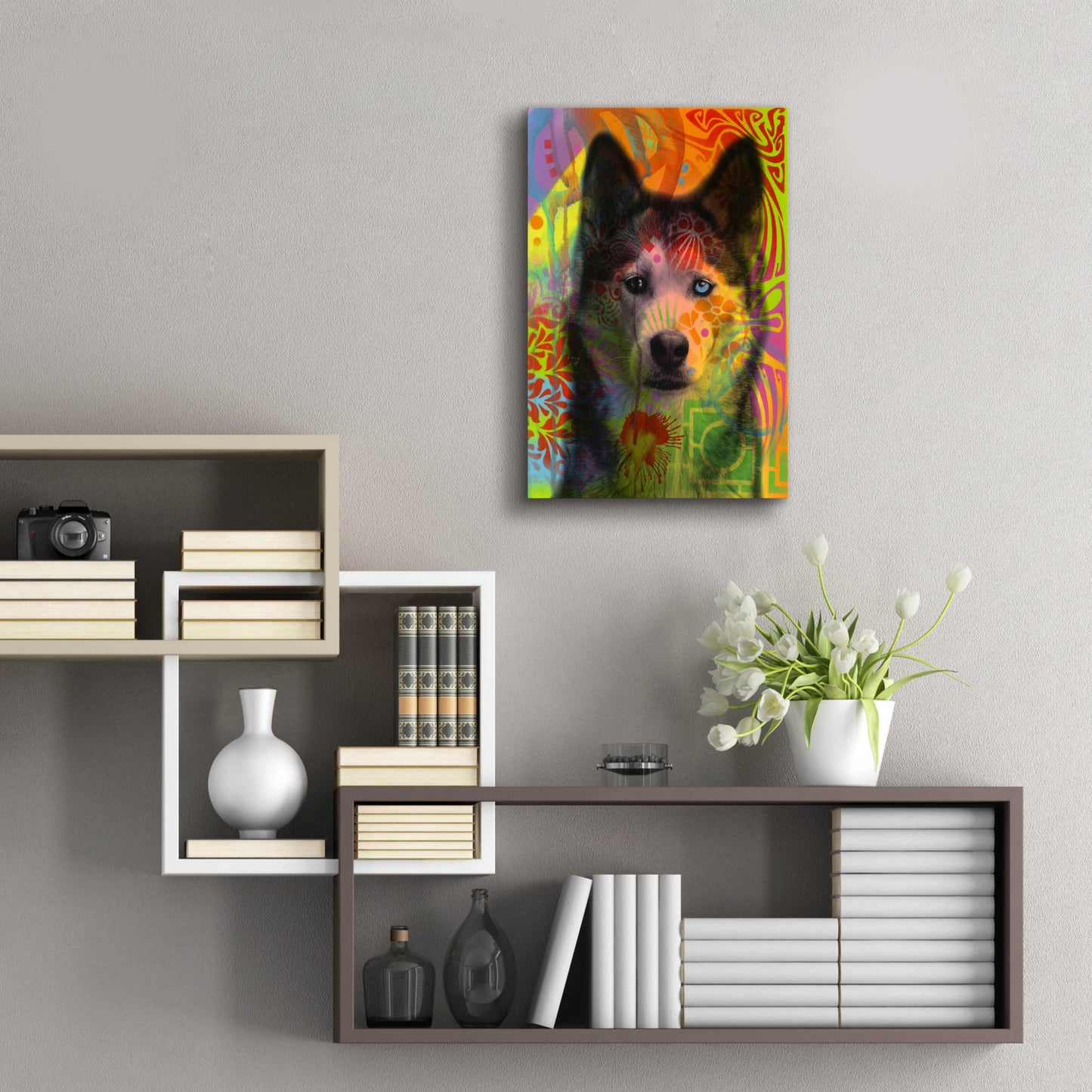 Epic Art 'Husky's Eye' by Dean Russo, Acrylic Glass Wall Art,16x24