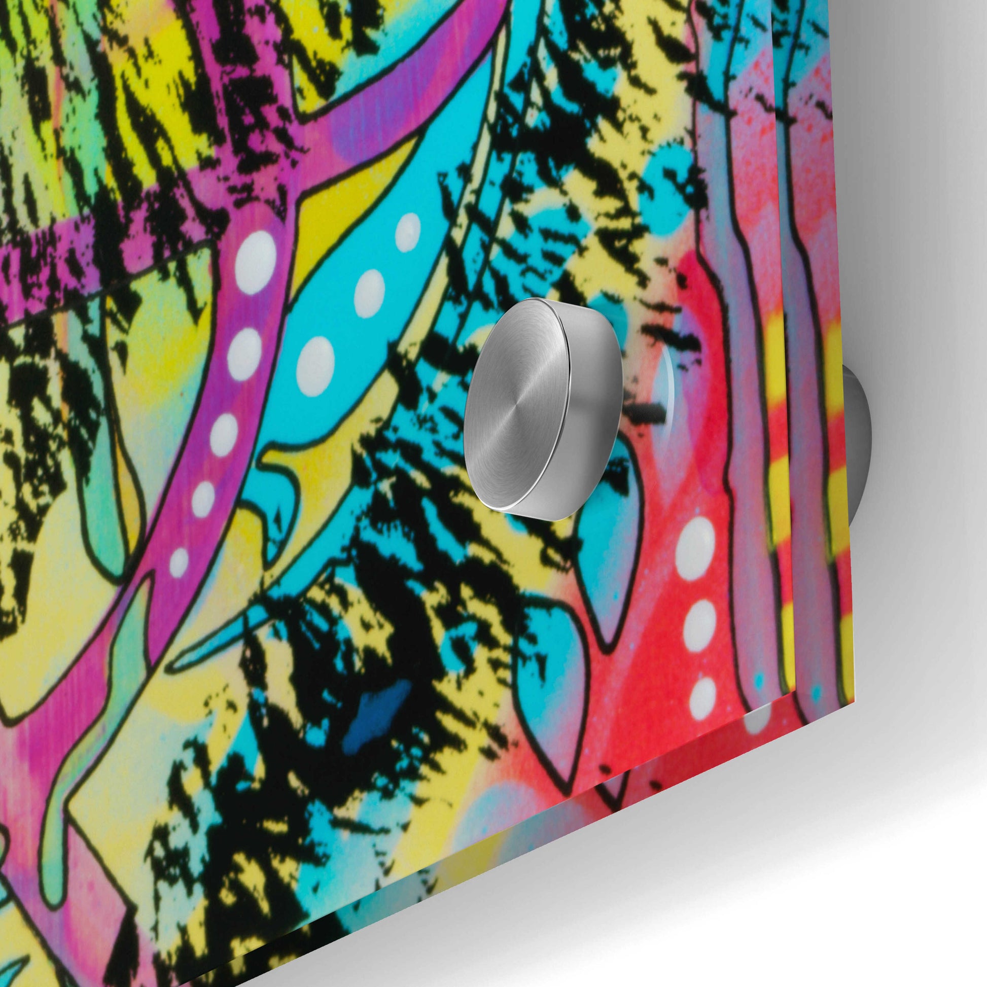 Epic Art 'Psychedelic Bobcat' by Dean Russo, Acrylic Glass Wall Art,24x36