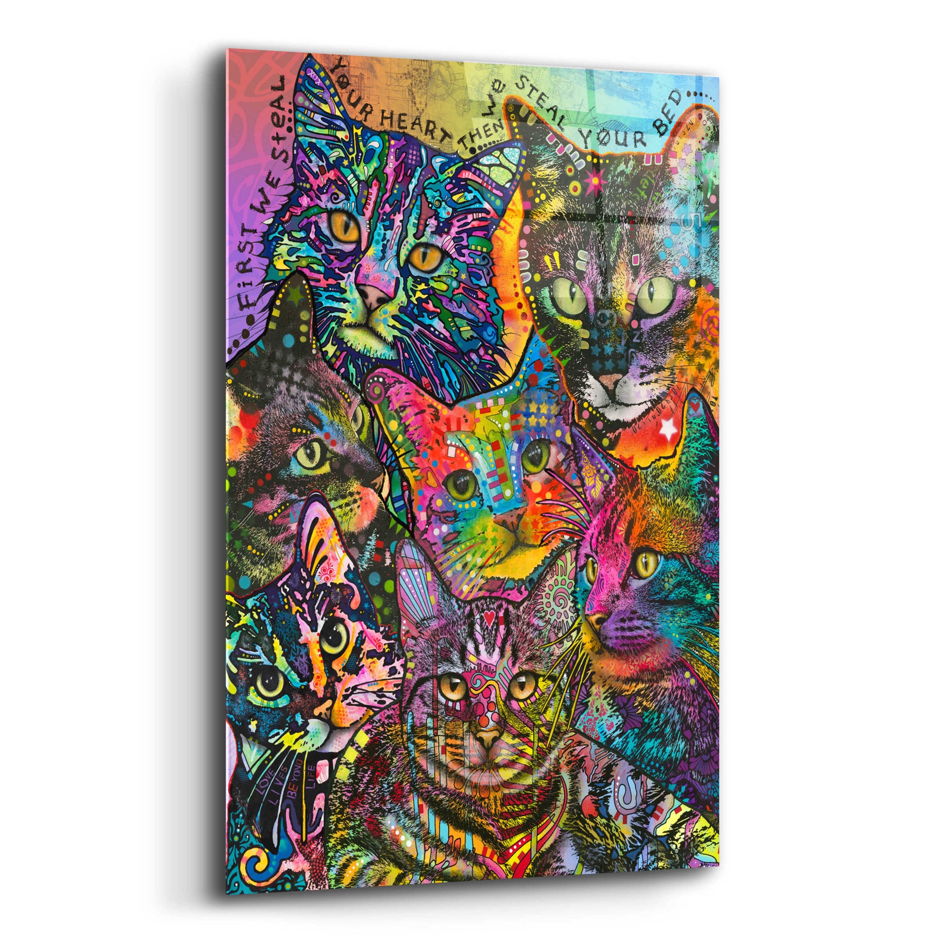 Epic Art 'Bed Cats' by Dean Russo, Acrylic Glass Wall Art,12x16