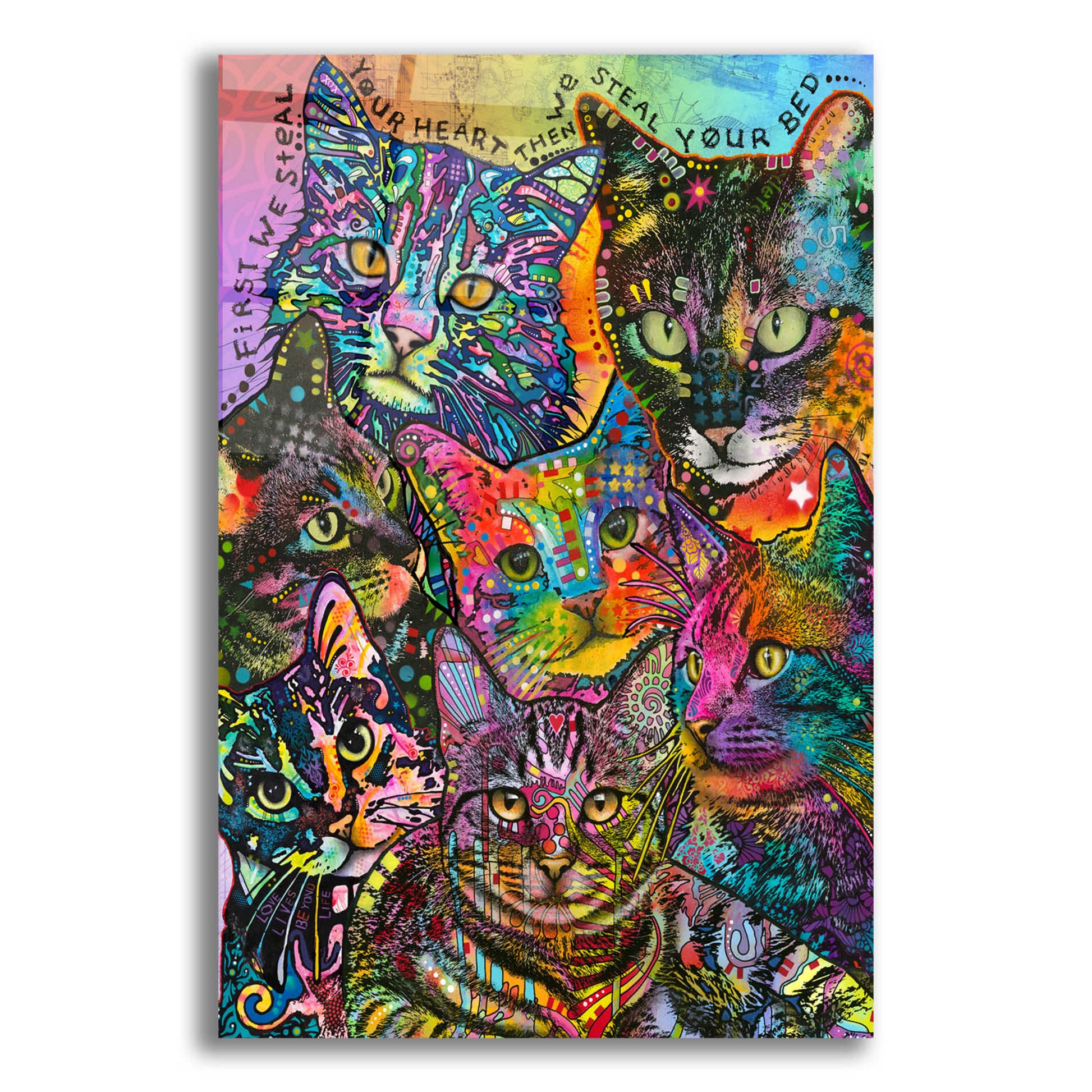 Epic Art 'Bed Cats' by Dean Russo, Acrylic Glass Wall Art,12x16