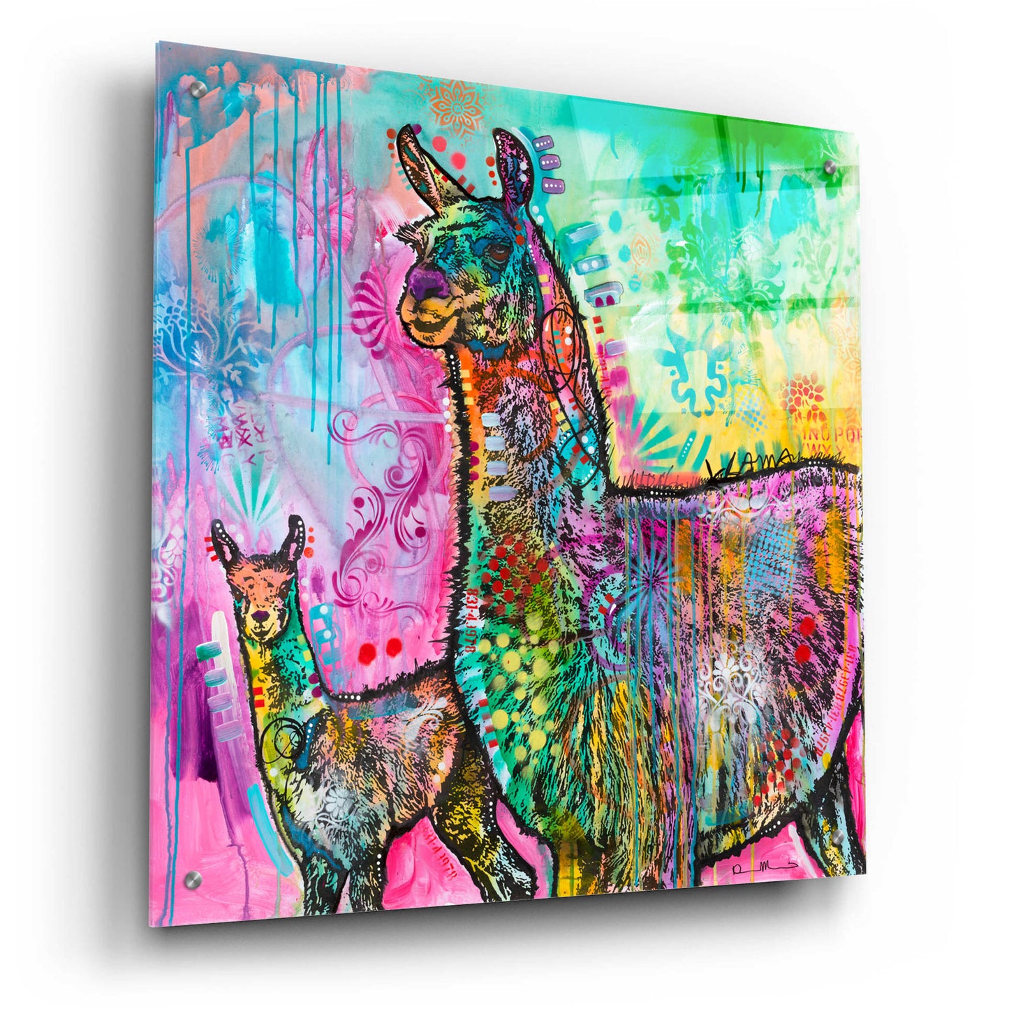 Epic Art 'Psychedelic Llama' by Dean Russo, Acrylic Glass Wall Art,24x24