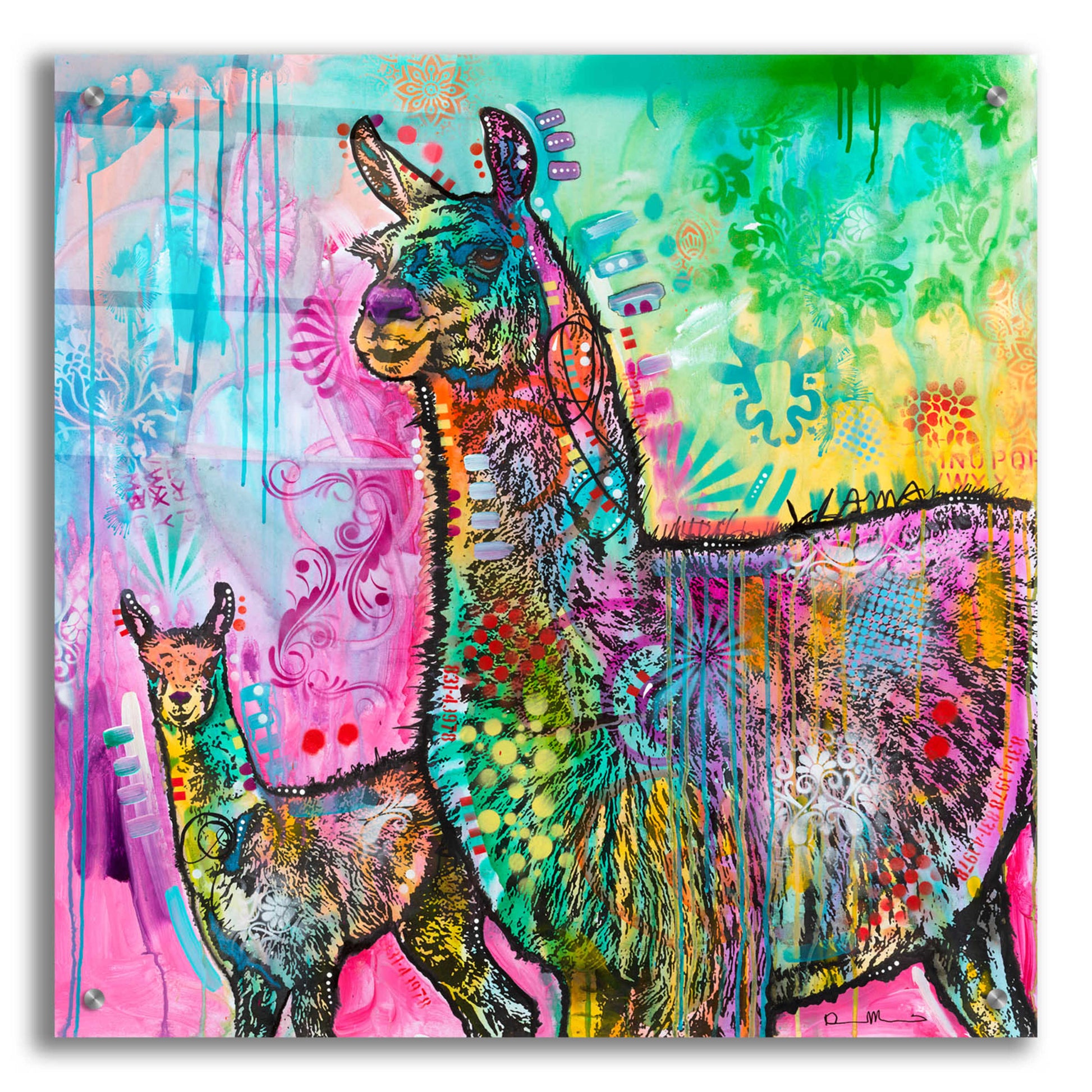 Epic Art 'Psychedelic Llama' by Dean Russo, Acrylic Glass Wall Art,24x24