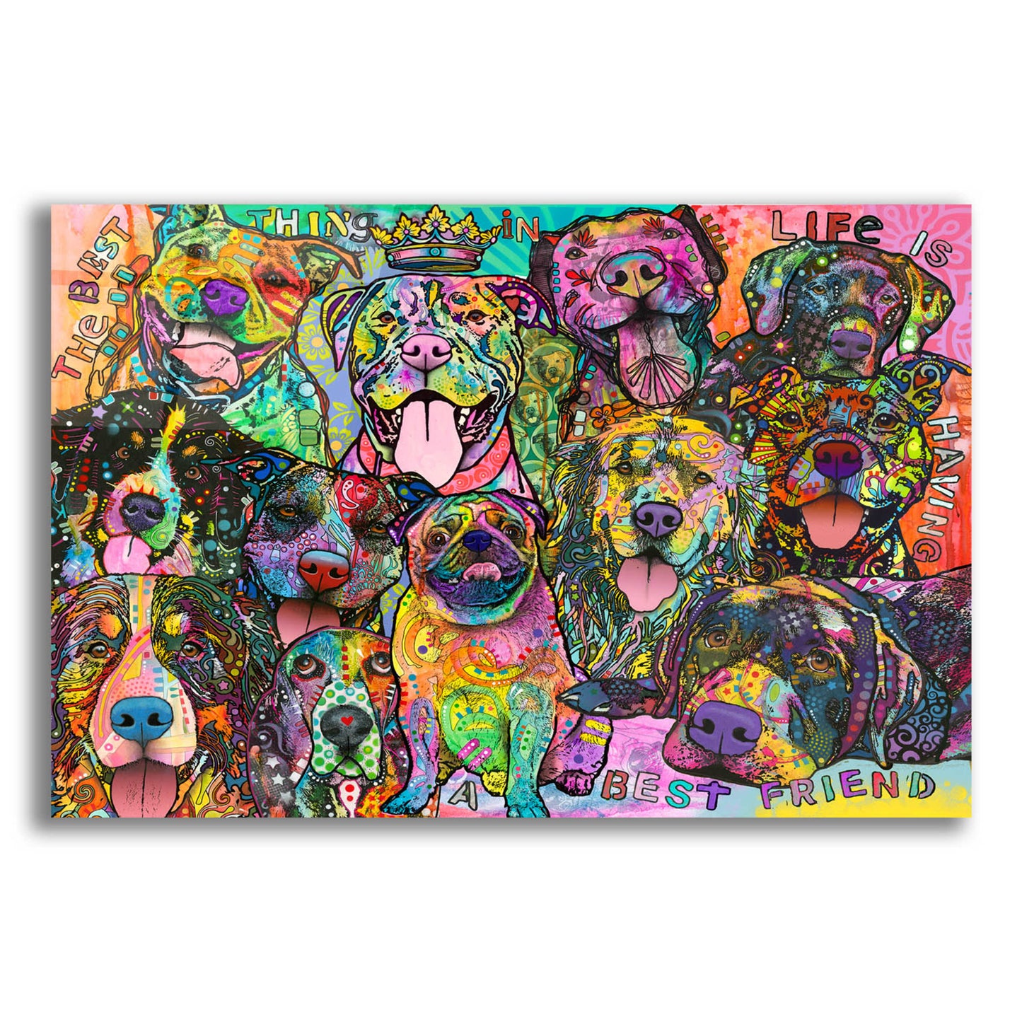 Epic Art 'Best Friends' by Dean Russo, Acrylic Glass Wall Art,16x12