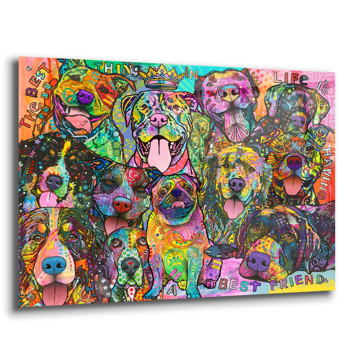 Epic Art 'Best Friends' by Dean Russo, Acrylic Glass Wall Art,36x24