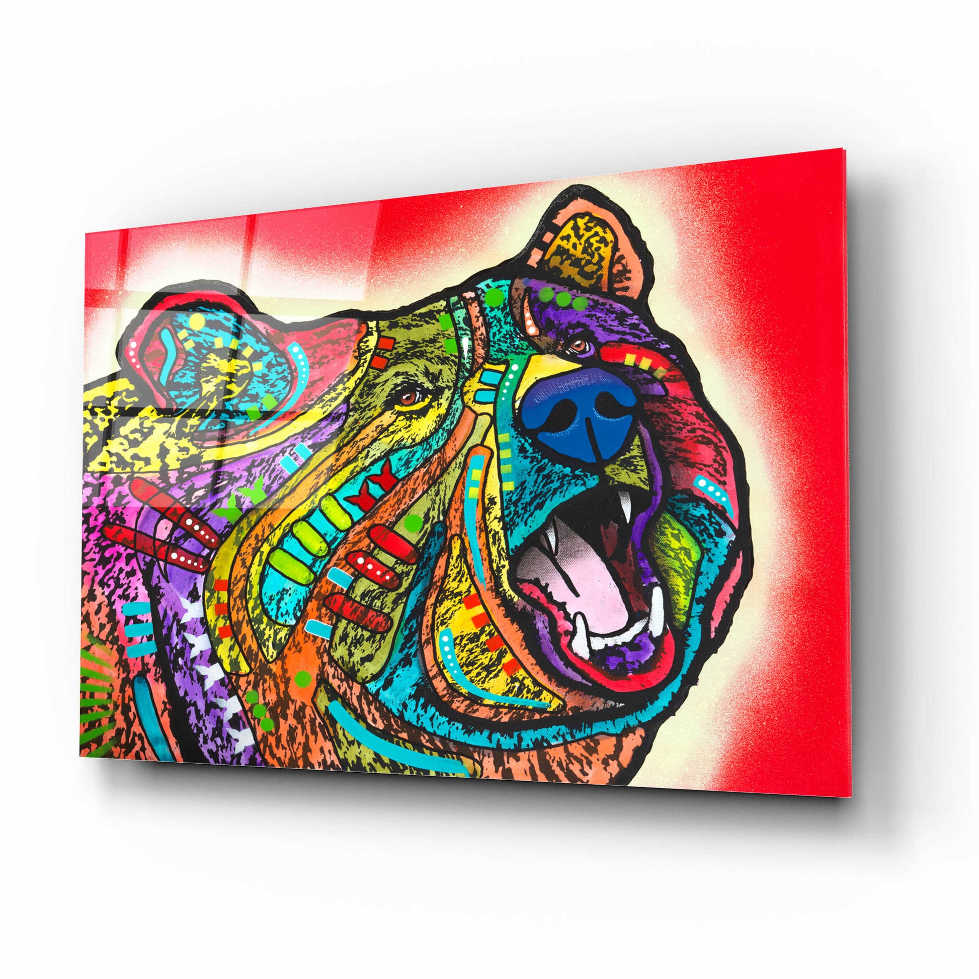 Epic Art 'Roaring Bear' by Dean Russo, Acrylic Glass Wall Art,16x12