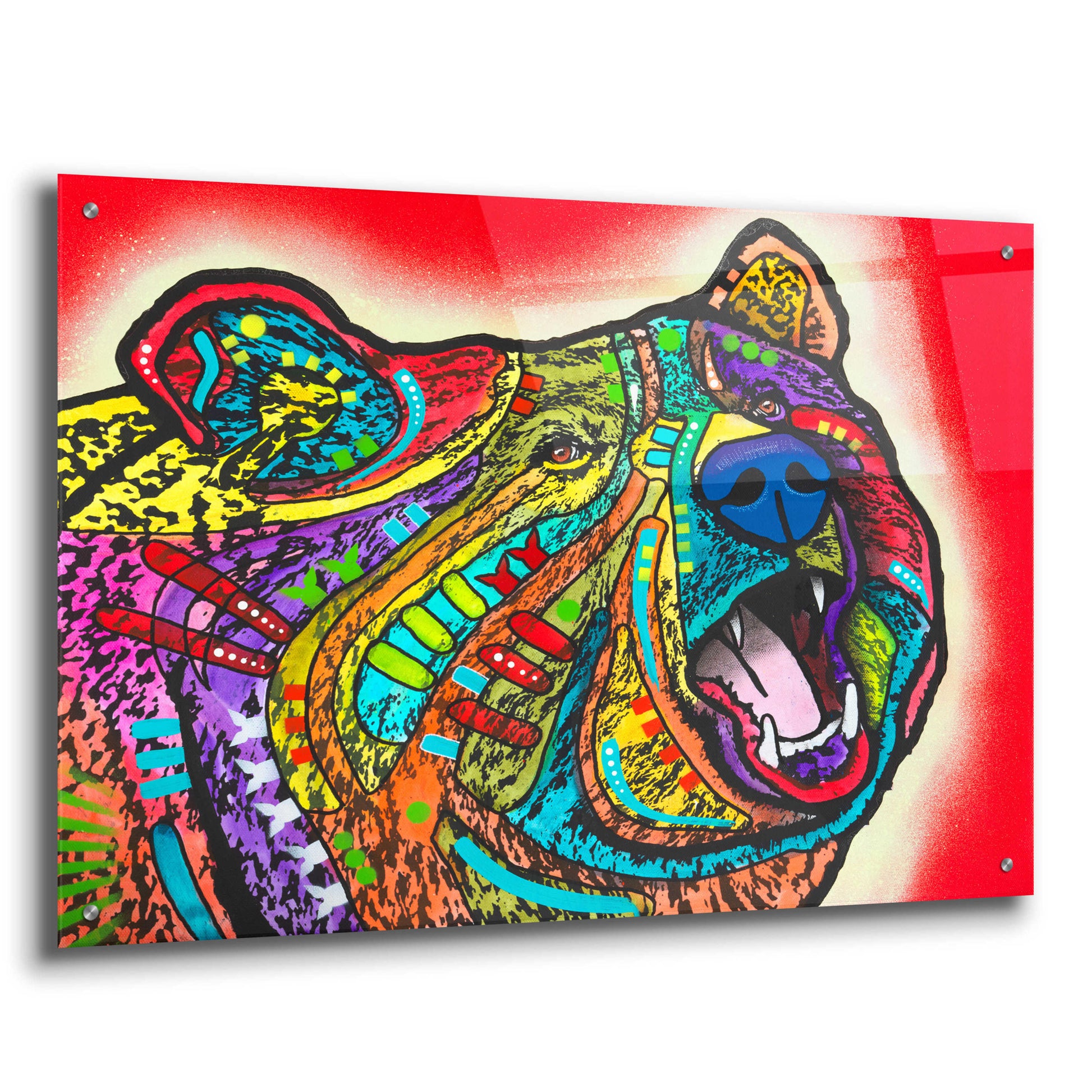 Epic Art 'Roaring Bear' by Dean Russo, Acrylic Glass Wall Art,36x24