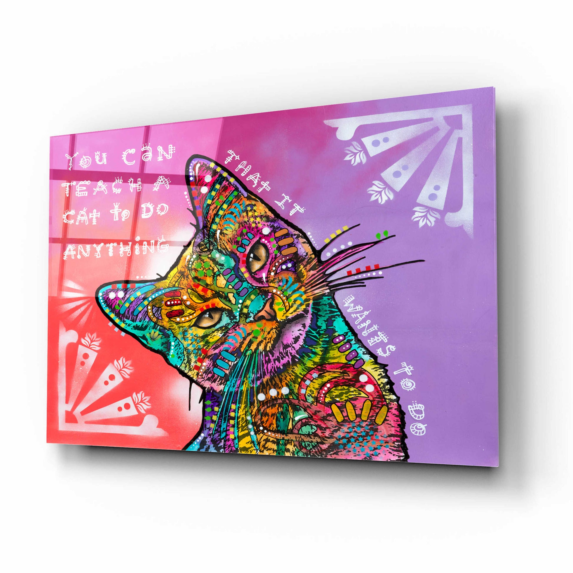 Epic Art 'You can teach a cat' by Dean Russo, Acrylic Glass Wall Art,16x12