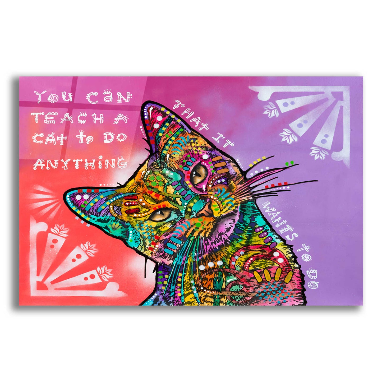 Epic Art 'You can teach a cat' by Dean Russo, Acrylic Glass Wall Art,16x12