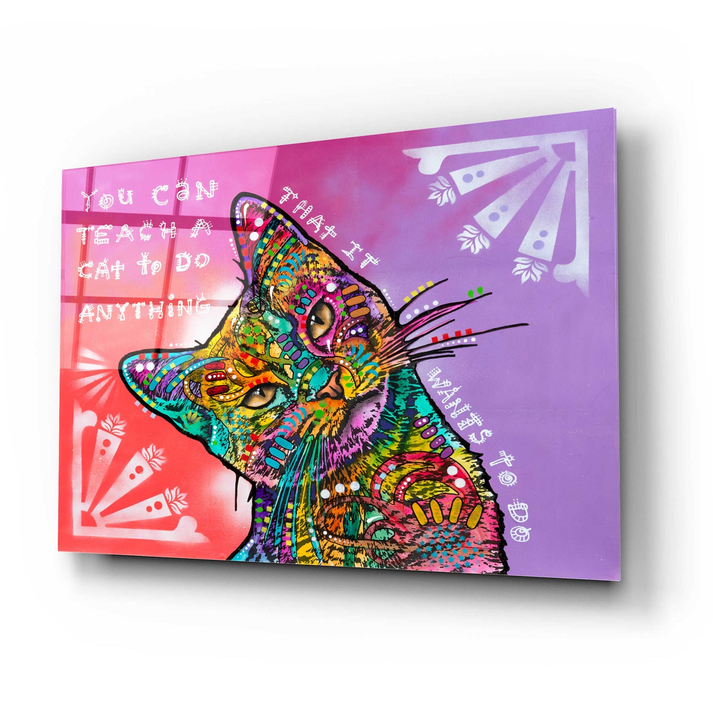 Epic Art 'You can teach a cat' by Dean Russo, Acrylic Glass Wall Art,24x16