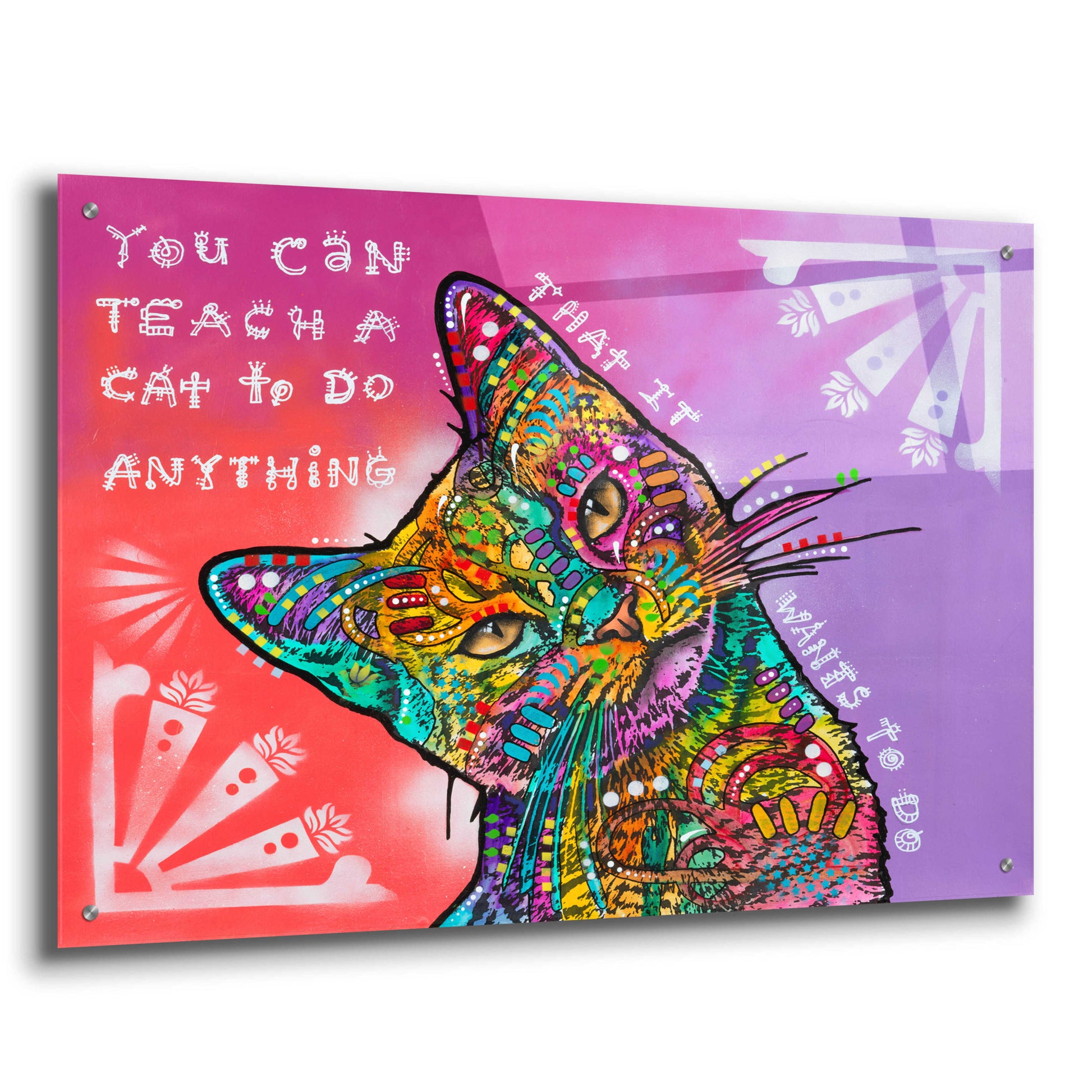 Epic Art 'You can teach a cat' by Dean Russo, Acrylic Glass Wall Art,36x24