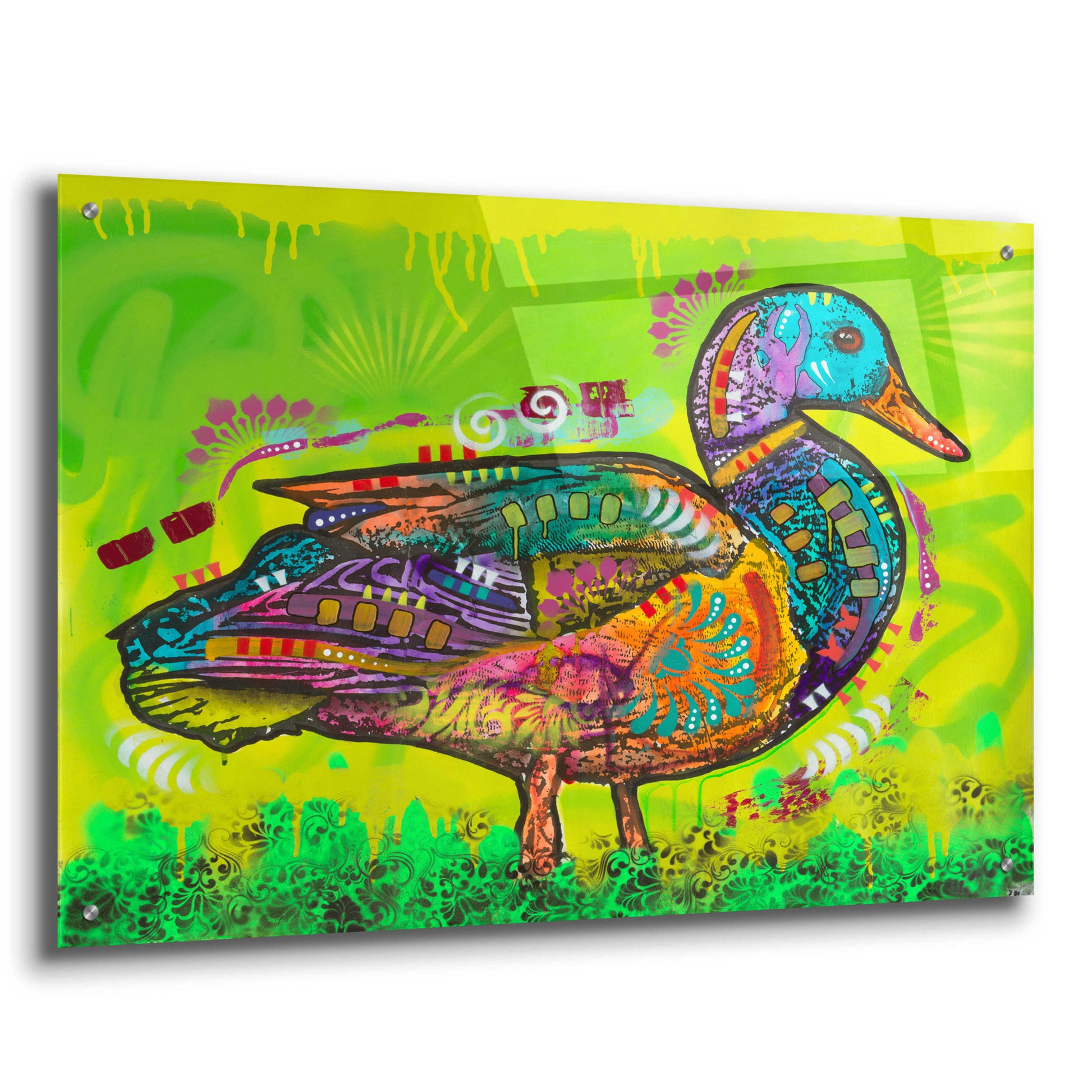 Epic Art 'Electric Duck' by Dean Russo, Acrylic Glass Wall Art,36x24