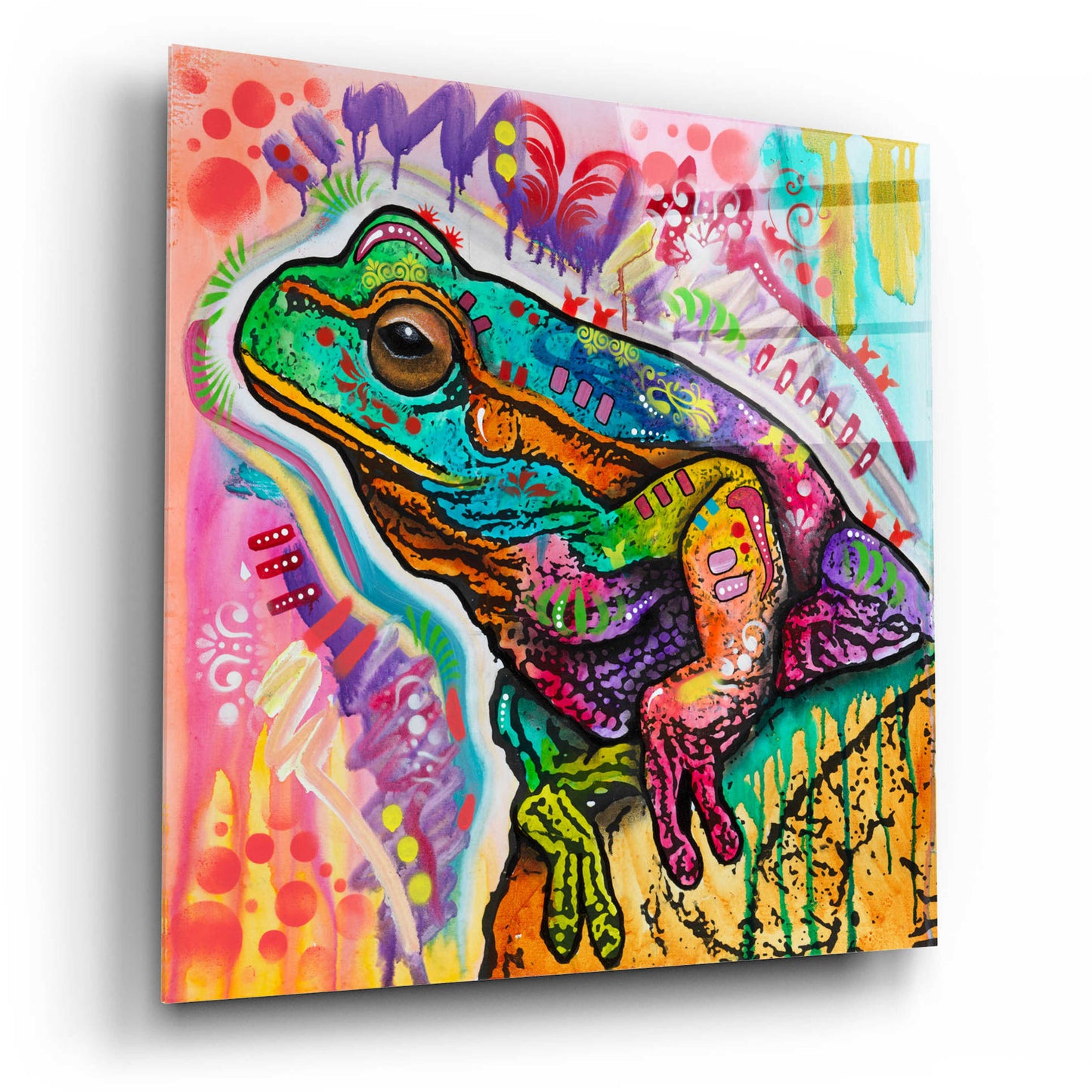 Epic Art 'Psychedelic Frog' by Dean Russo, Acrylic Glass Wall Art,12x12