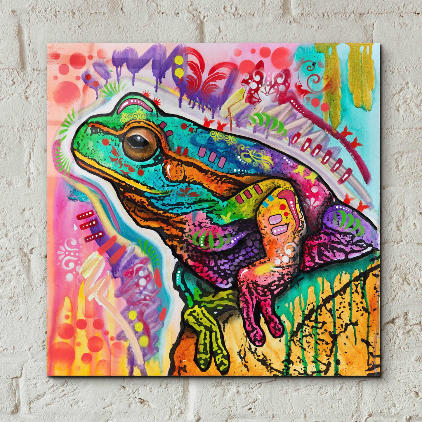 Epic Art 'Psychedelic Frog' by Dean Russo, Acrylic Glass Wall Art,12x12