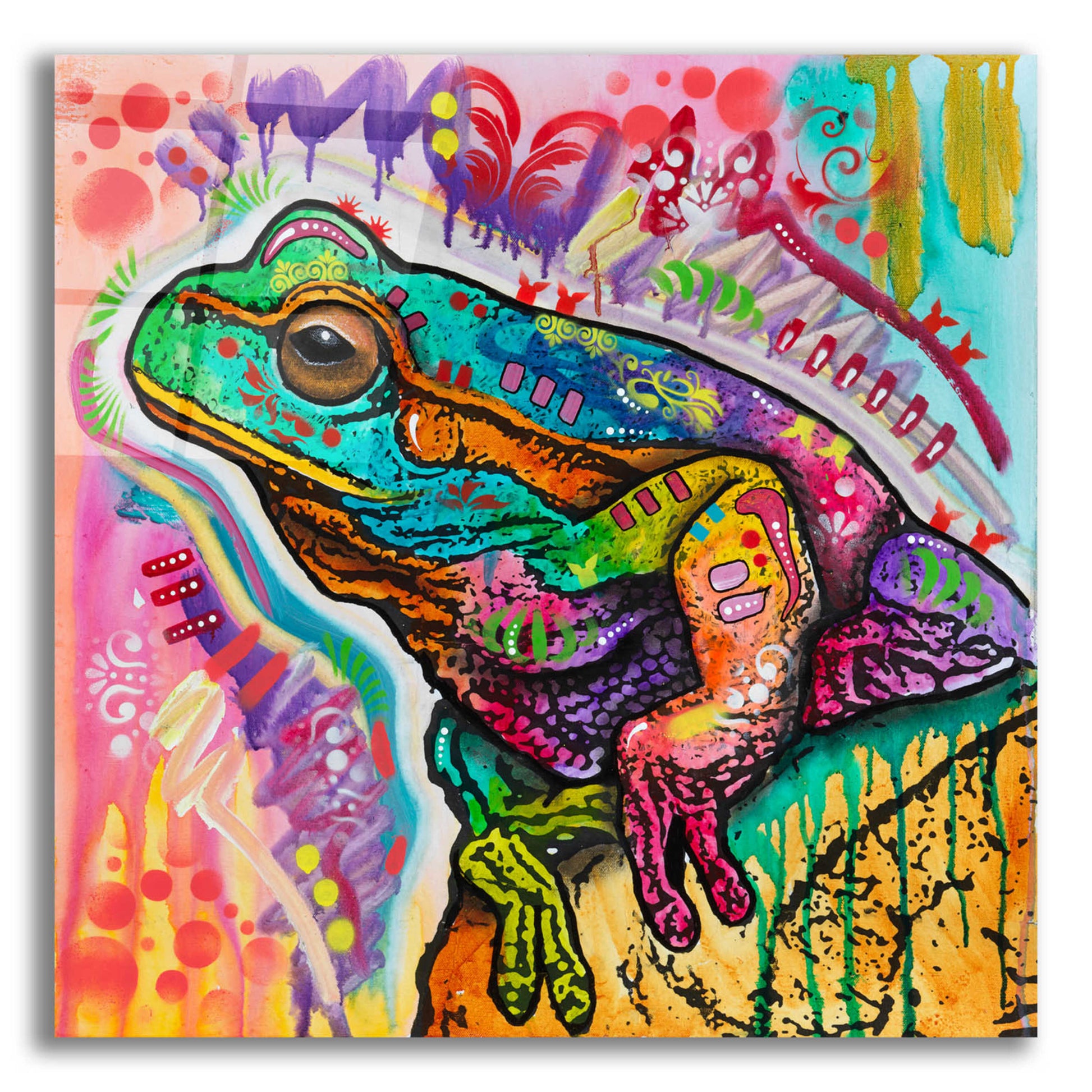 Epic Art 'Psychedelic Frog' by Dean Russo, Acrylic Glass Wall Art,12x12