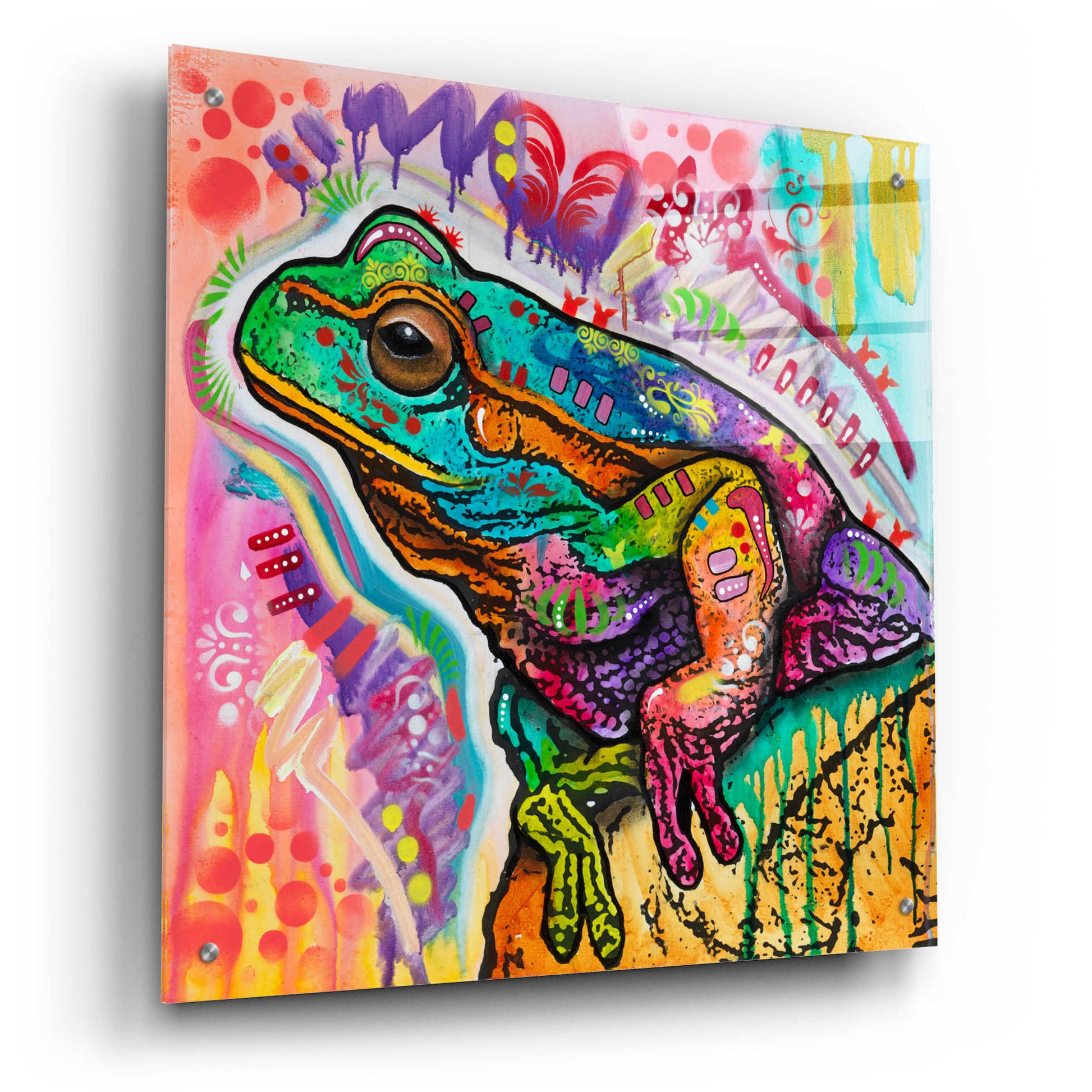 Epic Art 'Psychedelic Frog' by Dean Russo, Acrylic Glass Wall Art,24x24